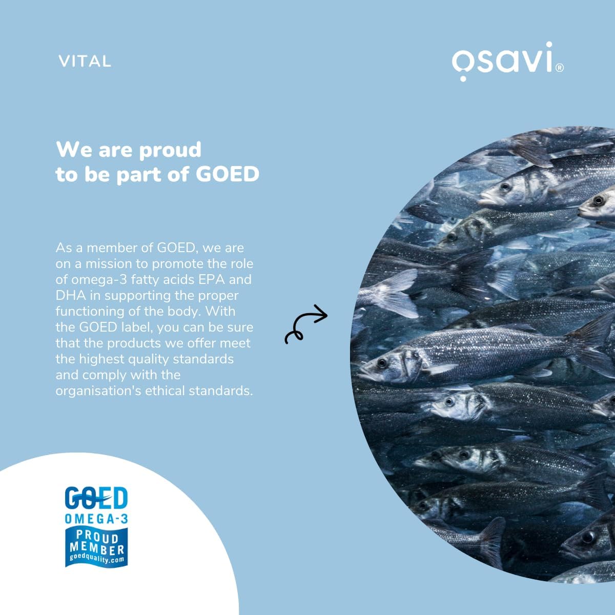 Osavi Omega-3 Fish Oil Molecularly Distilled, 1000mg (Lemon) - 120 softgels - Image 5