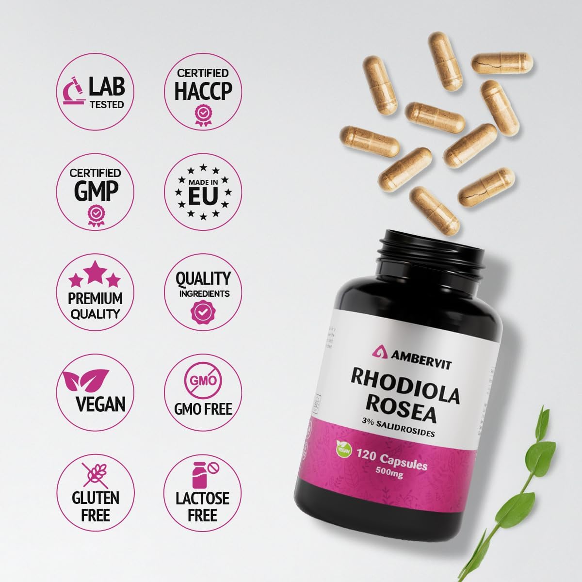 Rhodiola Rosea 500mg - 120 Capsules - 3% Salidrosides - Rosenwurz High Dosed Capsules - Cure 4 Months | Rhodiola Rosea Premium Extract | Vegan, Gluten Free, Made in EU - Ambervit - Image 5