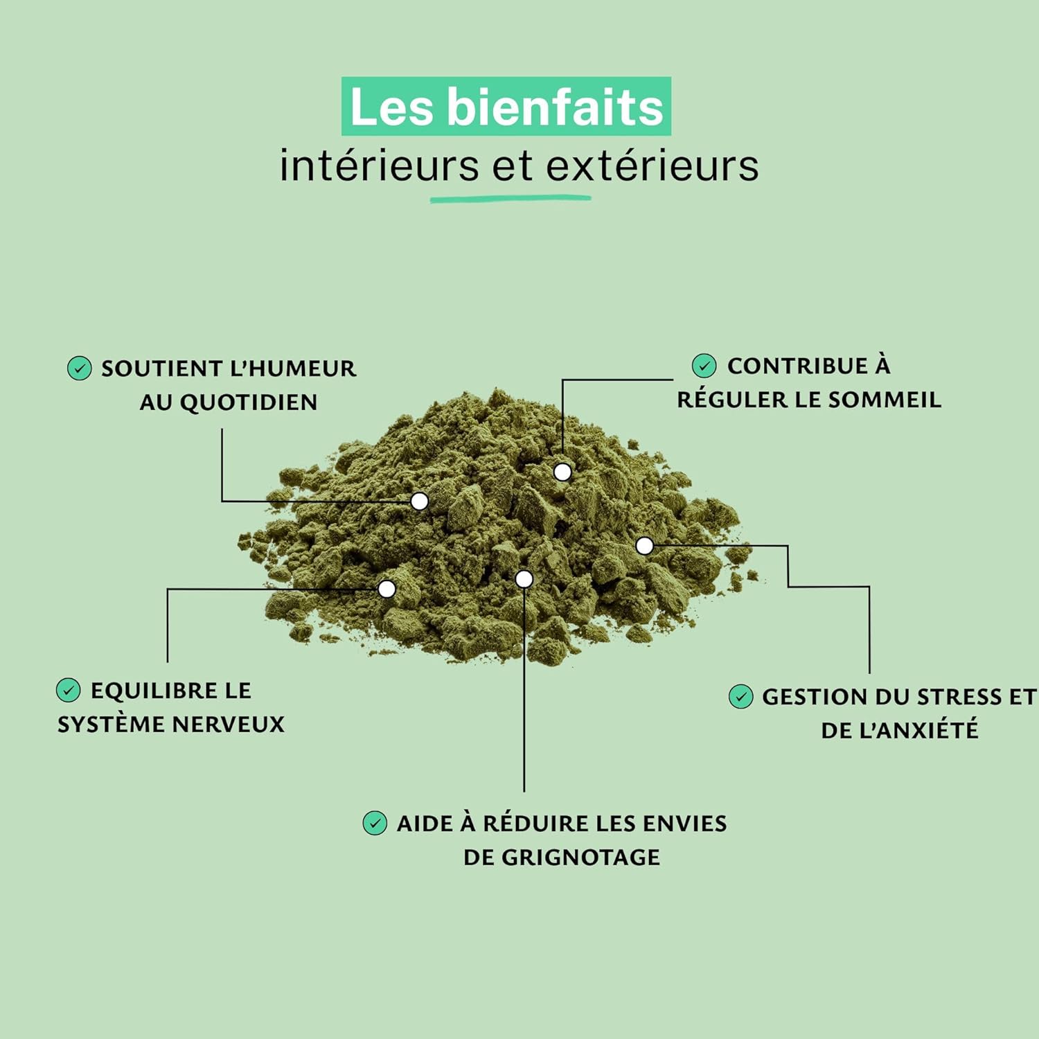 Rue Des Plantes - Griffonia simplicifolia Powder (100 g) - Image 3