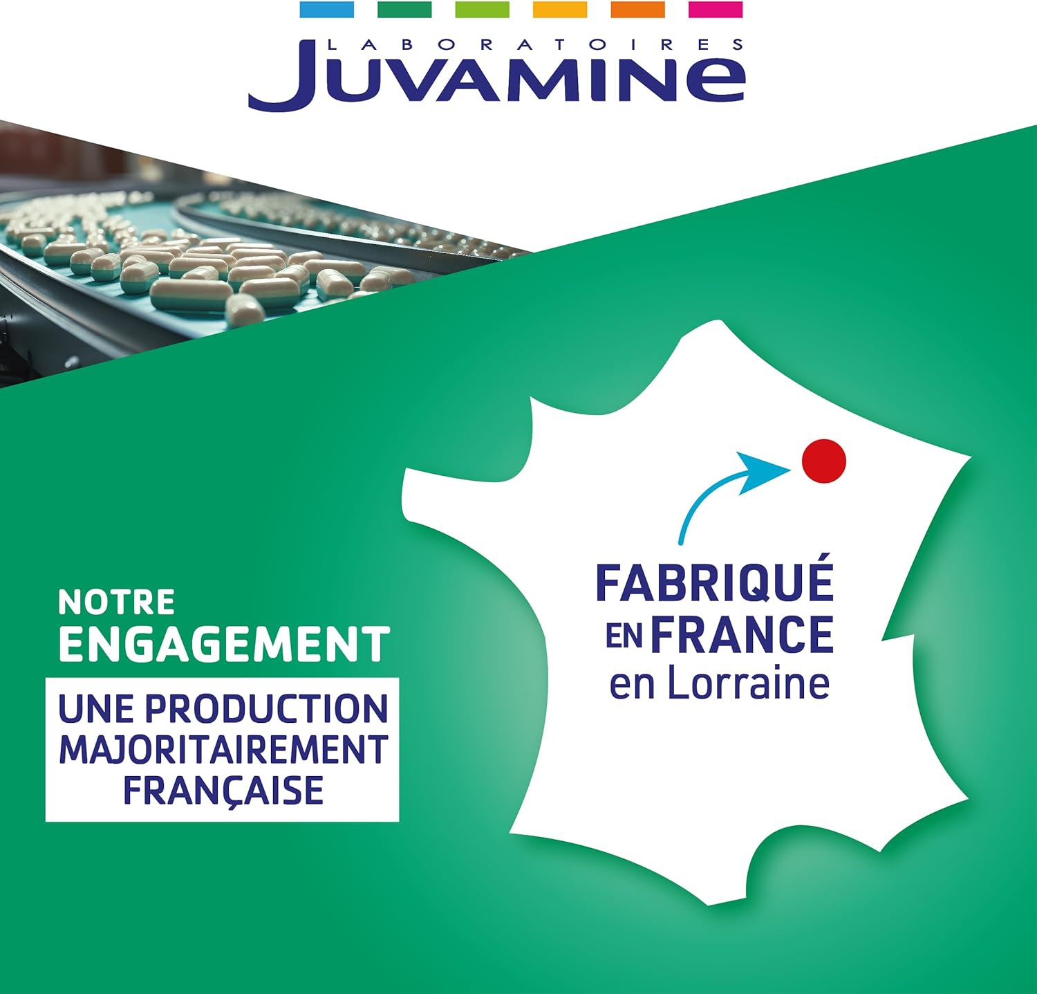 Juvamine - Transit - Intestinal flora and balance - Prebiotics - Chicory fibres - Inulin - Fennel - Made in France - Swallowing powder - 20 sticks - Image 3