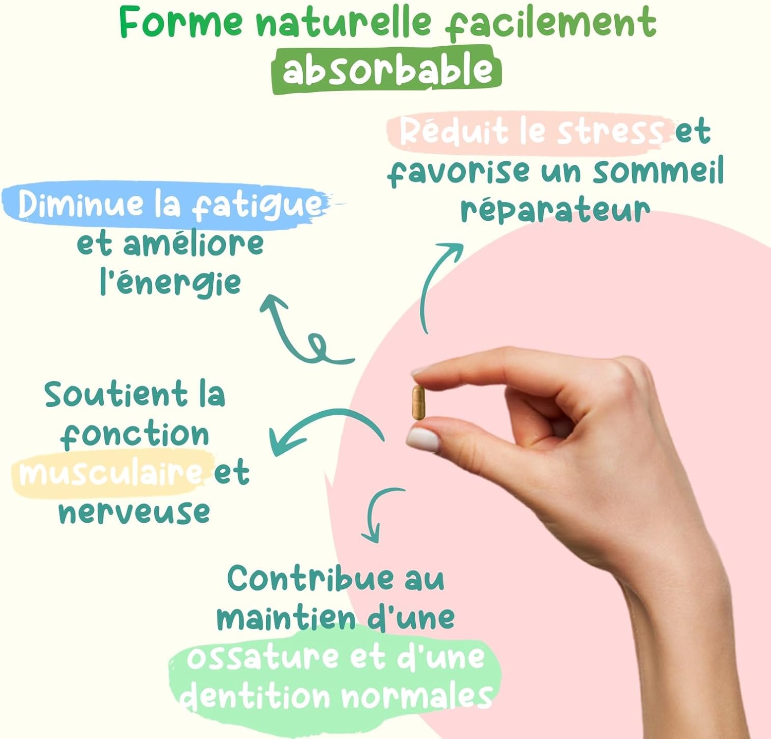 Triple Magnesium Bio - Vegetable (Sea Lettuce), SiMAG® Marin, Bisglycinate - 60 Vegan Capsules (1 to 2 Months) - High Absorption - Fatigue, Stress, Sleep, Muscles - Image 3