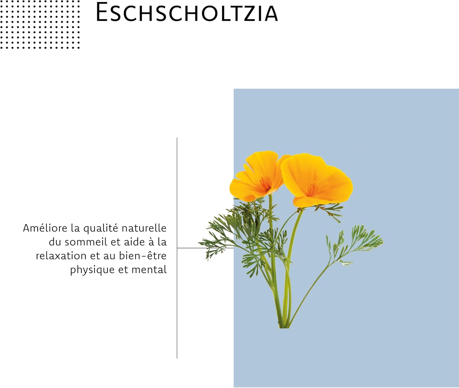 SomProtect - Sleep & Relaxation Supplement - Magnesium, Reishi, Eschscholtzi, Melisse, Vitamin B6 - Aragan - 30 Day Programme - Image 5