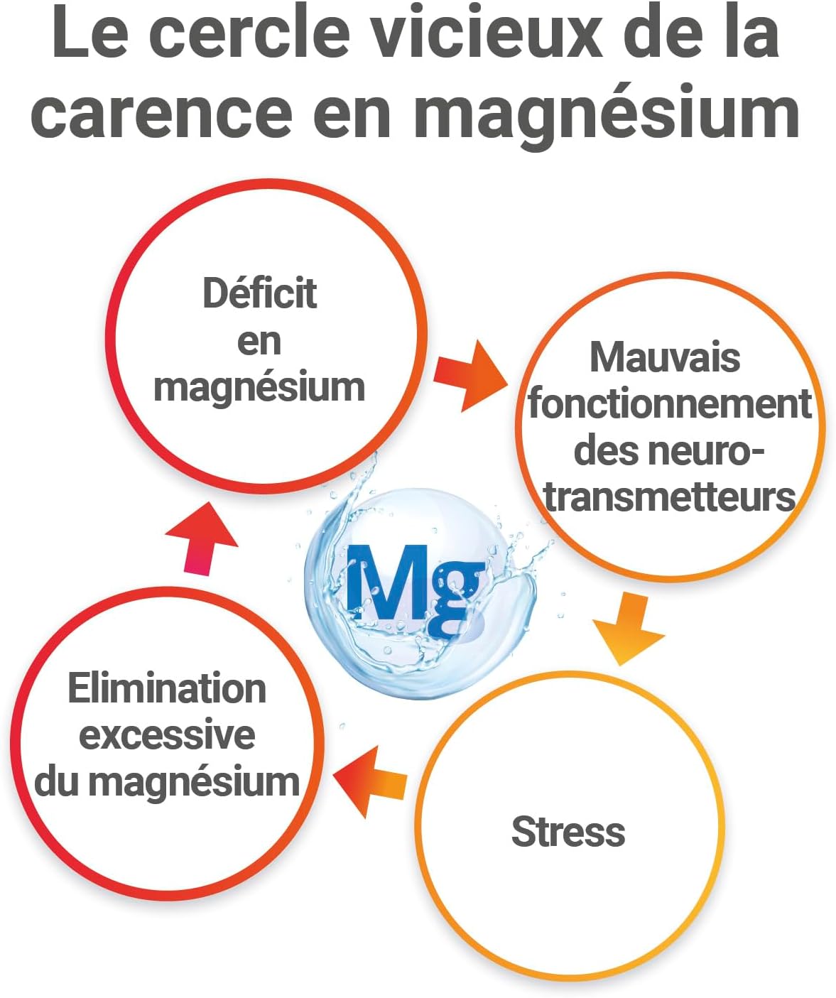 MAG 2 - Cramps - Marine magnesium, calcium, iron, potassium, copper - Cramps, muscle fatigue - Dietary supplement - 15-day program - 30 tablets - Image 8