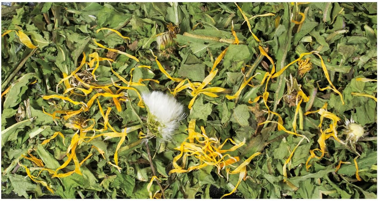 Jr Farm De Leon Jr Dent Farm 500 GR - Image 3