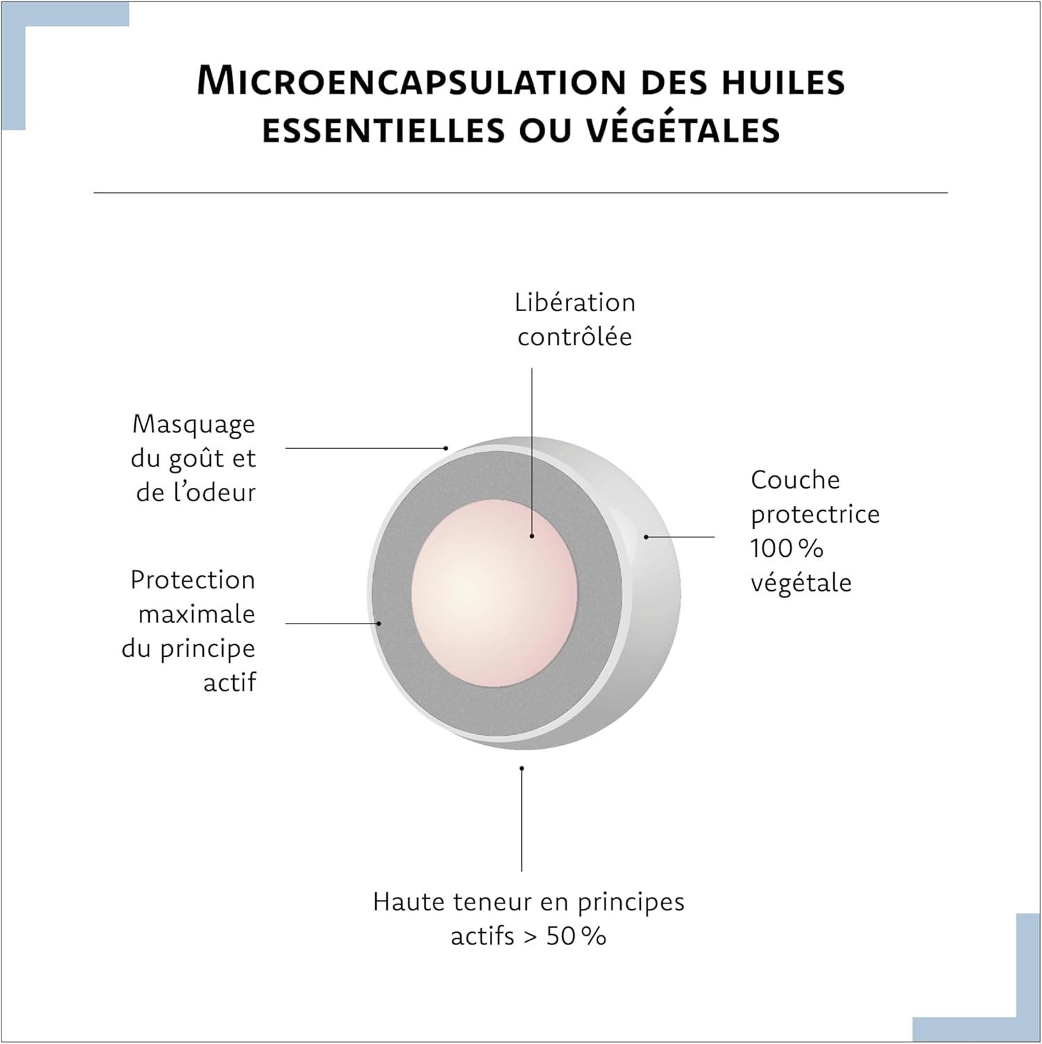 Serenactif Anti-Stress Supplement Magnesium, Rhodiola, Melisse, Saffron - Aragan - 30 Capsules - Image 7