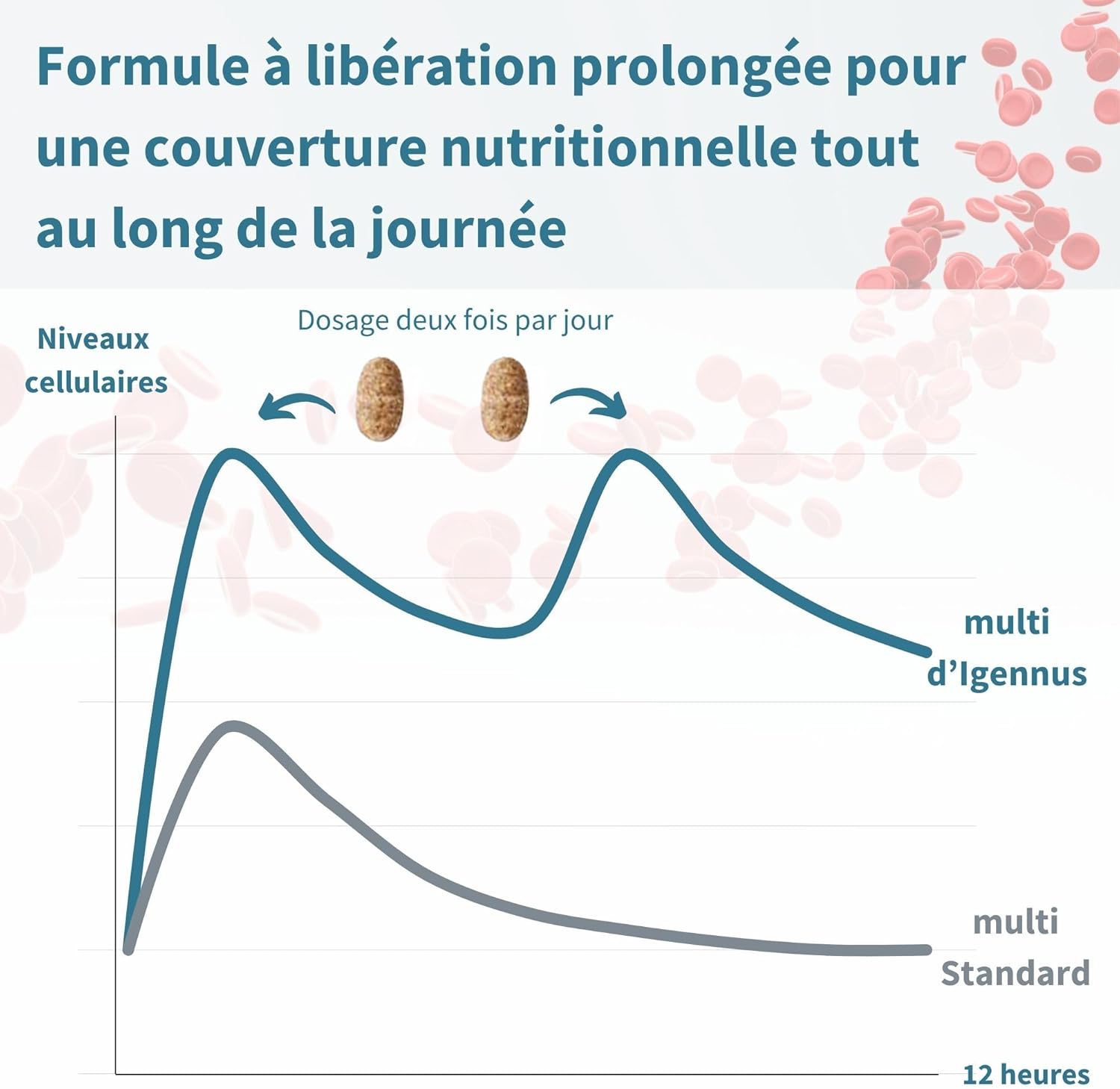 Multivitamins & Minerals for Men with Lycopene, Zinc, Vitamin D3, B6 & B12 Methylated for Energy, Immune & Heart Health, Slow Release, 60 Tablets - by Igennus - Image 5
