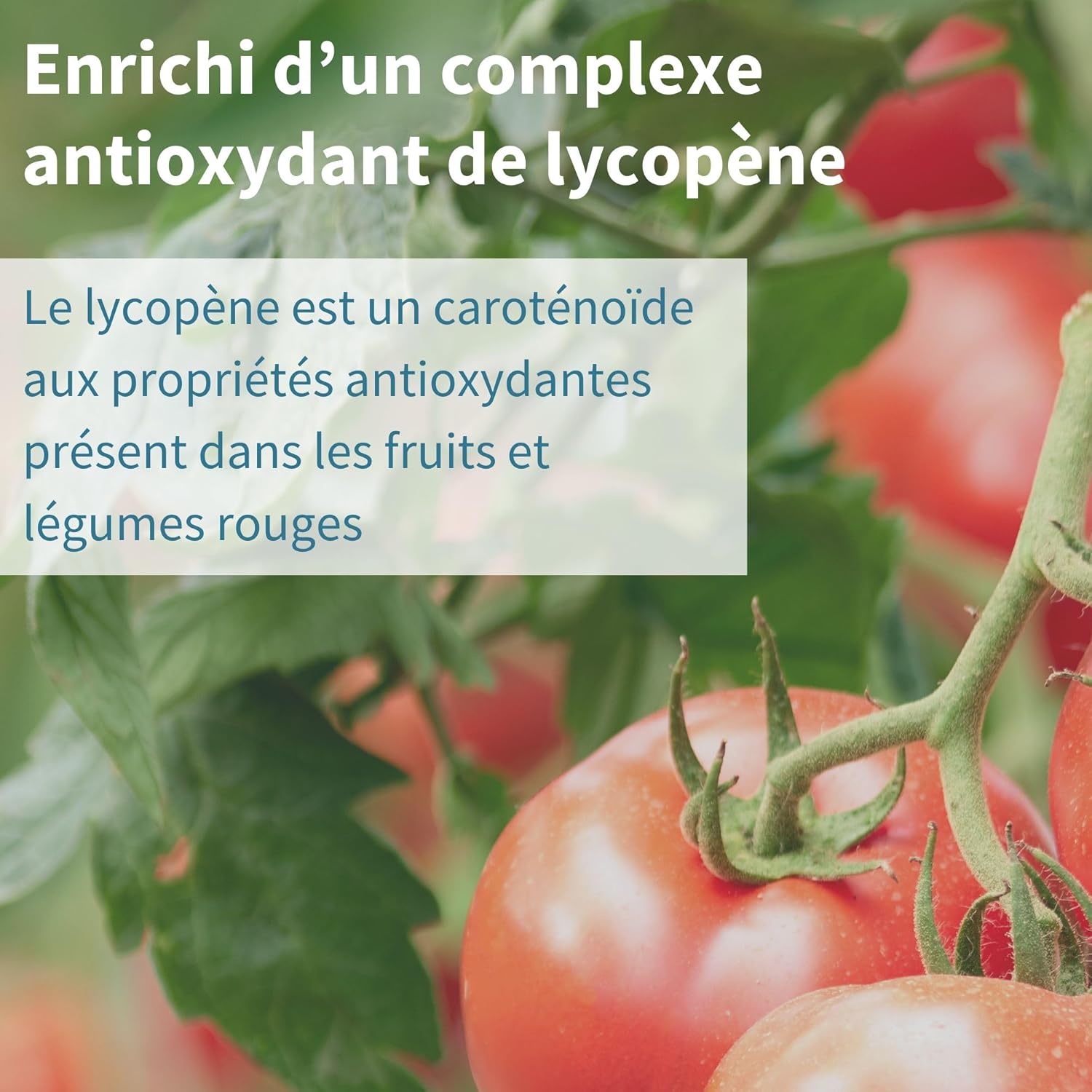 Multivitamins & Minerals for Men with Lycopene, Zinc, Vitamin D3, B6 & B12 Methylated for Energy, Immune & Heart Health, Slow Release, 60 Tablets - by Igennus - Image 8