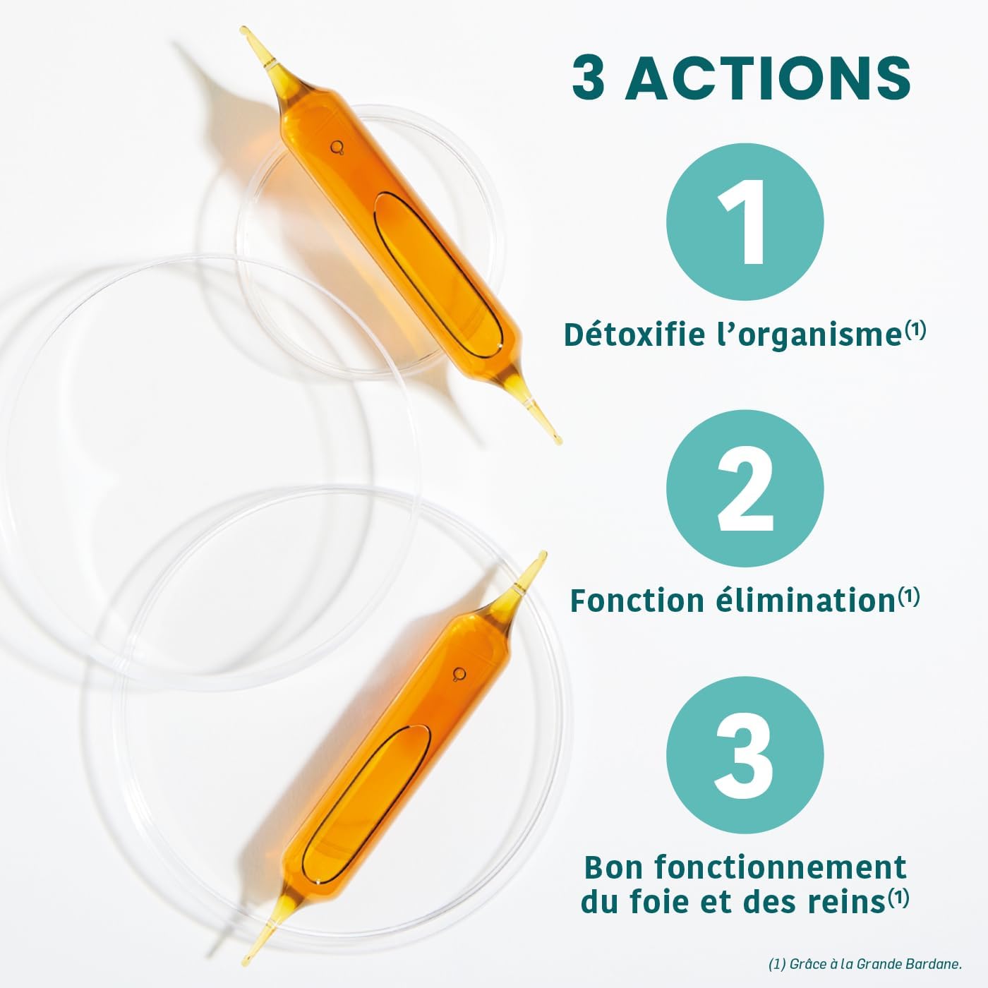 Santarome Bio - Organic Detox | Global Detox Food Supplement | Drains & Regenerates 5 Emonctories - Organic Plants - Large Burdock, Smoke, Dandelion | 20 Ampoules | Made In France | Vegan - Image 4