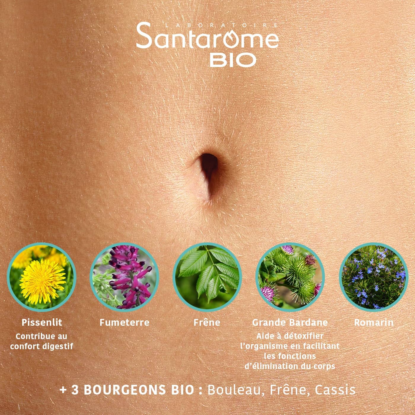 Santarome Bio - Organic Detox | Global Detox Food Supplement | Drains & Regenerates 5 Emonctories - Organic Plants - Large Burdock, Smoke, Dandelion | 20 Ampoules | Made In France | Vegan - Image 6