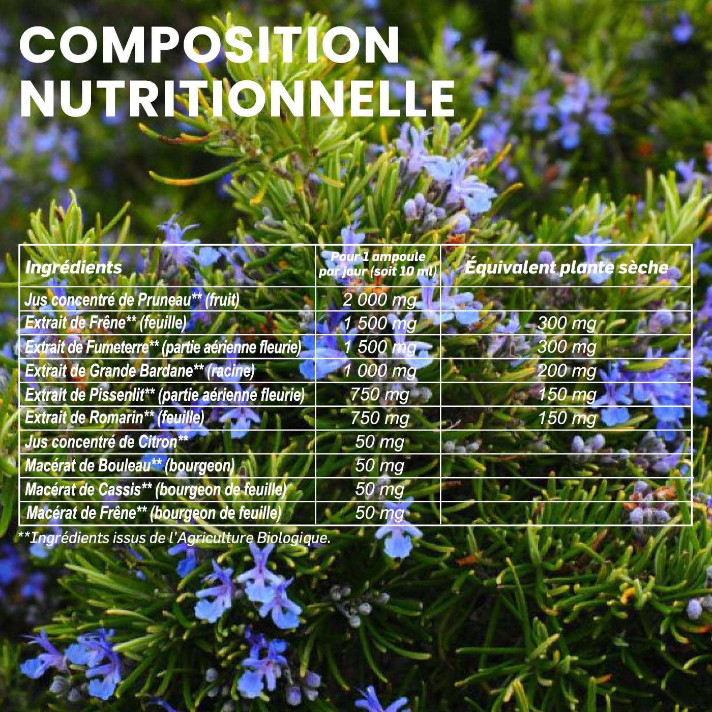 Santarome Bio - Organic Detox | Global Detox Food Supplement | Drains & Regenerates 5 Emonctories - Organic Plants - Large Burdock, Smoke, Dandelion | 20 Ampoules | Made In France | Vegan - Image 7