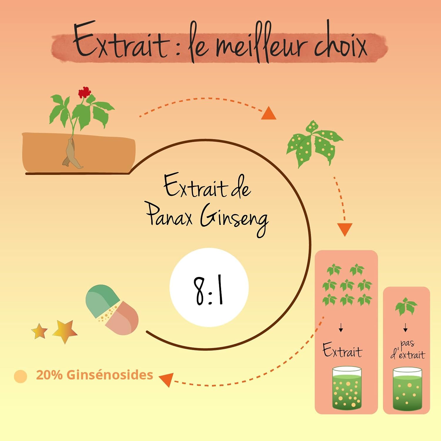 PANAX GINSENG Red + Korean | 120 Capsules | Extra Strength: 4800 mg/day | Anti Stress + Concentration + Energy Booster | 20% Ginsenosides | No Additives & Vegan | Vegavero - Image 6