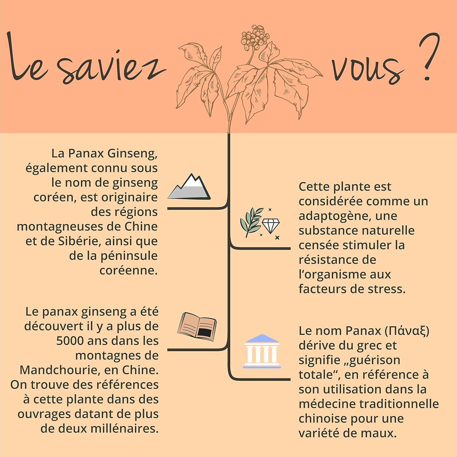 PANAX GINSENG Red + Korean | 120 Capsules | Extra Strength: 4800 mg/day | Anti Stress + Concentration + Energy Booster | 20% Ginsenosides | No Additives & Vegan | Vegavero - Image 7