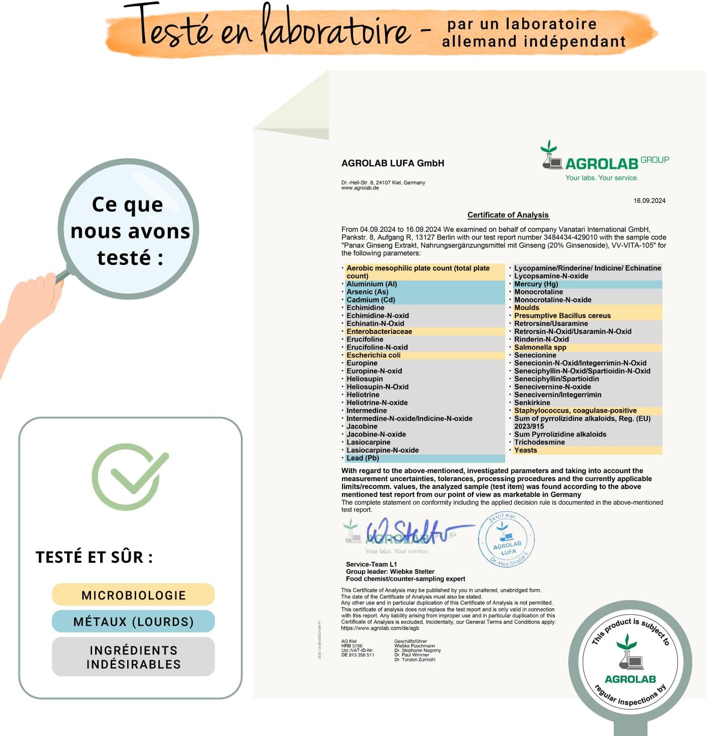 PANAX GINSENG Red + Korean | 120 Capsules | Extra Strength: 4800 mg/day | Anti Stress + Concentration + Energy Booster | 20% Ginsenosides | No Additives & Vegan | Vegavero - Image 8