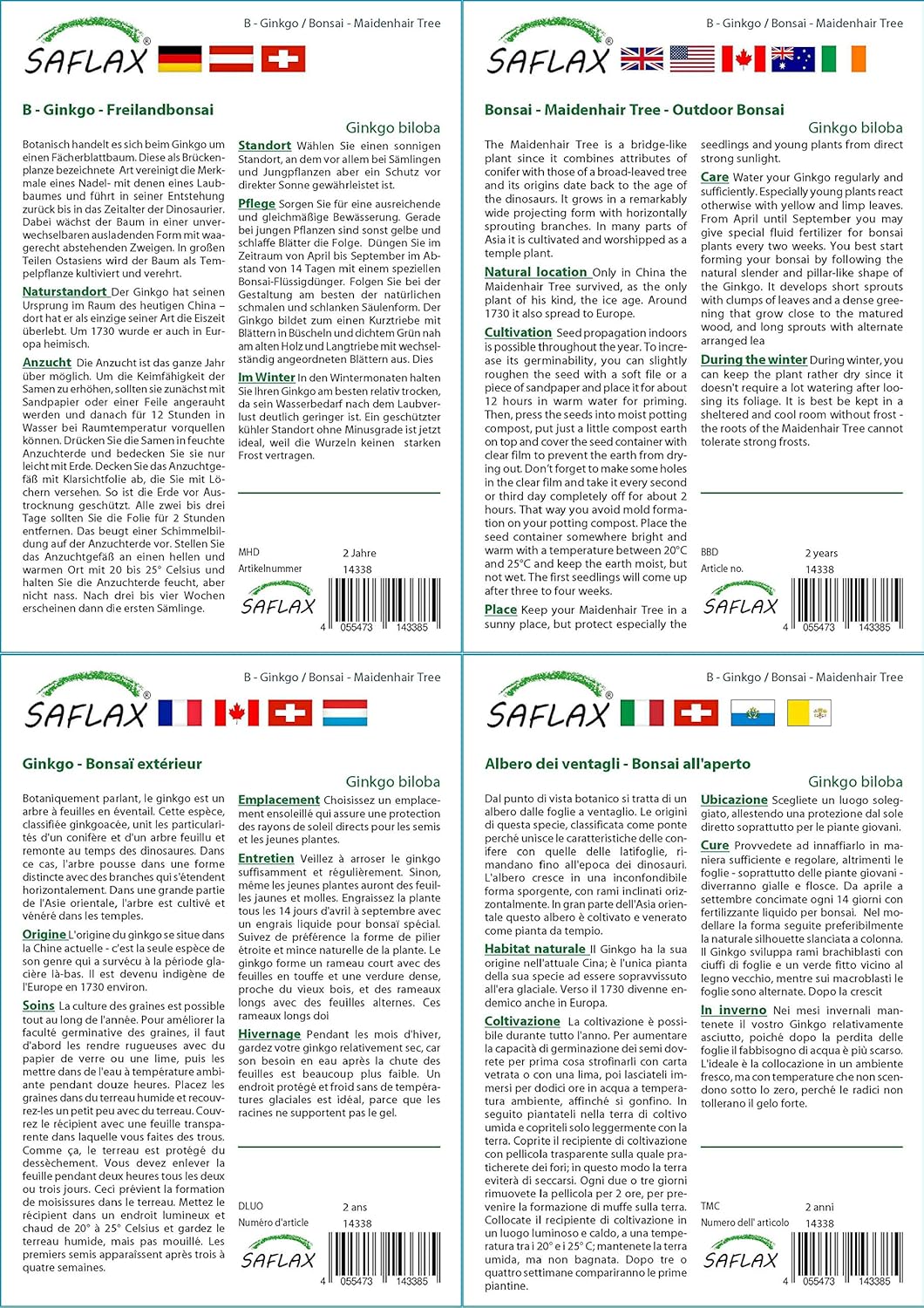 SAFLAX - Ginkgo - 4 seeds - Ginkgo biloba - Image 4