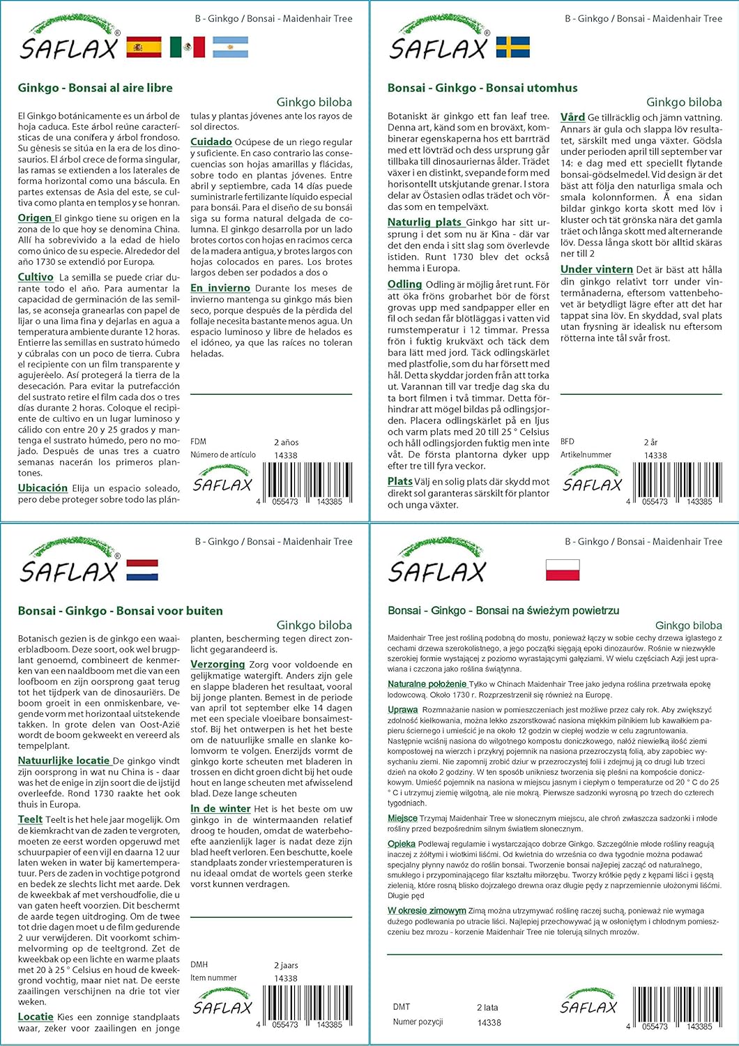 SAFLAX - Ginkgo - 4 seeds - Ginkgo biloba - Image 5