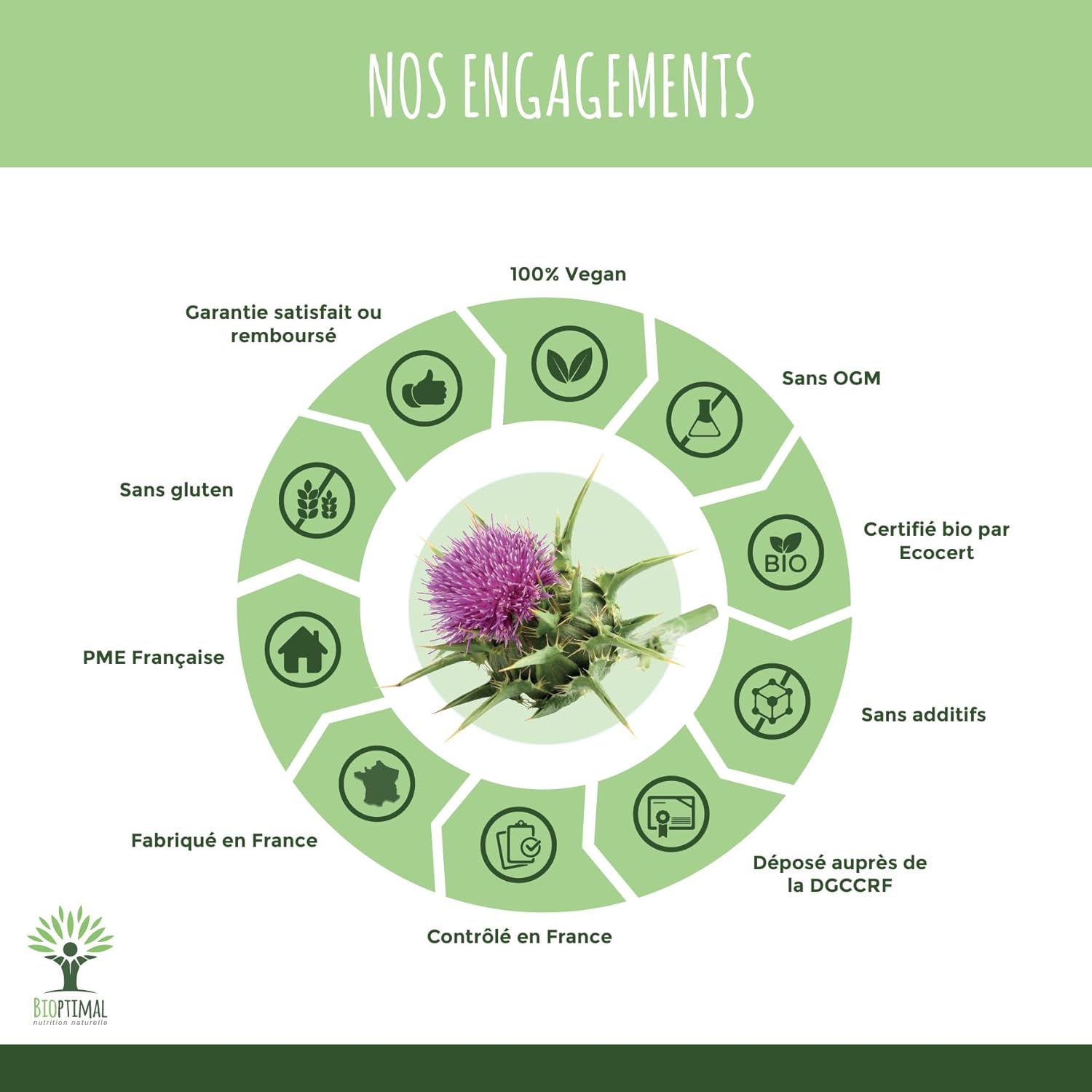 Organic Milk Thistle - Bioptimal - Food Supplement - Natural Detox Detox Liver Digestion - 100% Pure - Silymarin Silybin - 300 mg/Capsule - Made in France - Ecocert Certified - 60 Capsules - Image 6