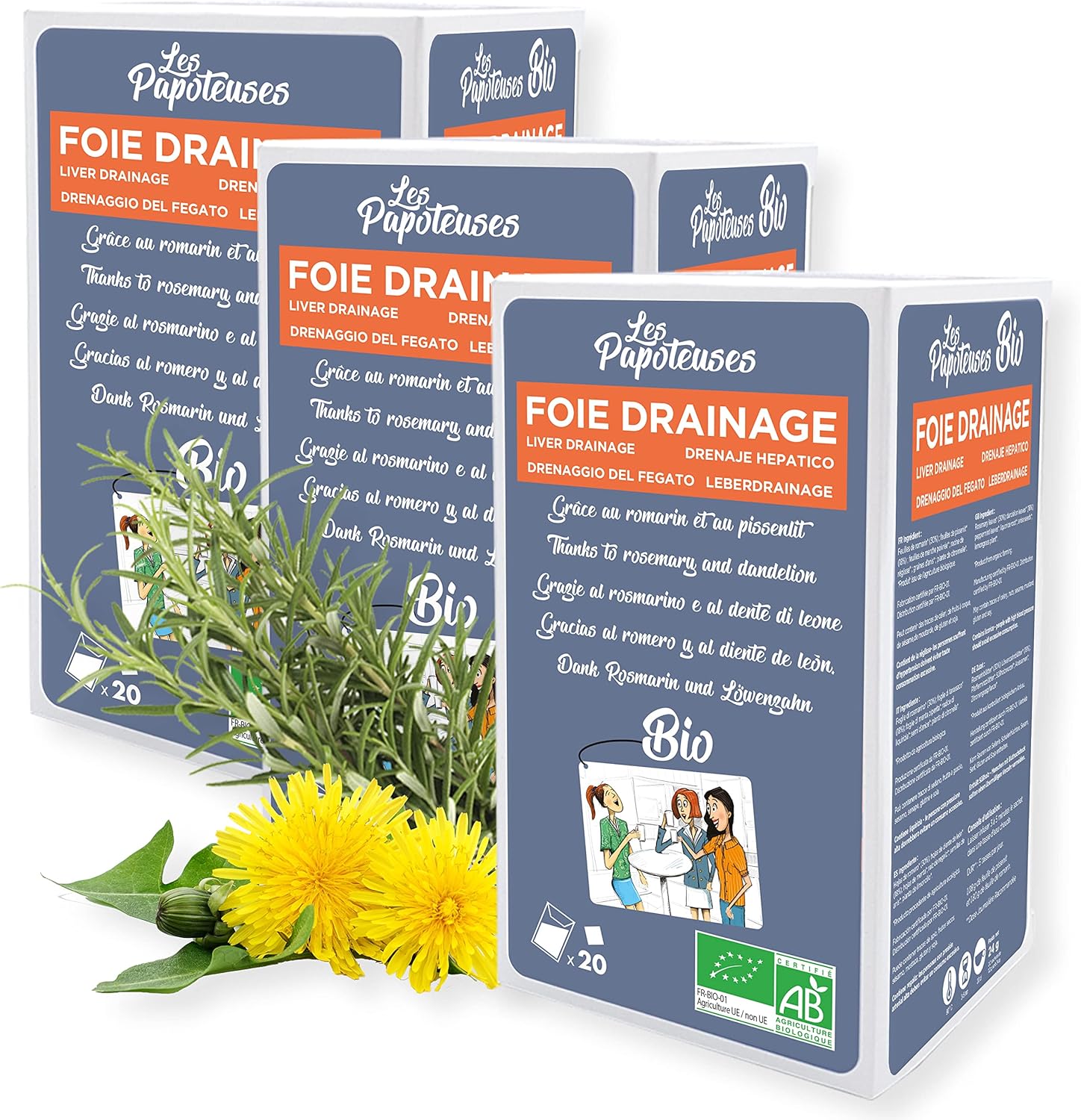 LES PAPOTEUSES | Organic infusion liver drainage thanks to rosemary and dandelion | 60 tea bags | Infusion set of 3 boxes of 20 sachets | Certified organic - Image 2