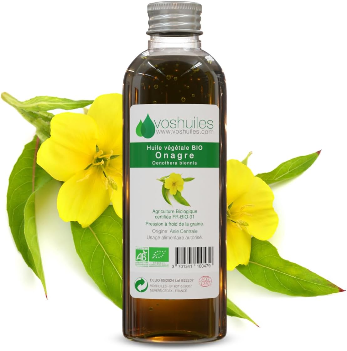 VOSHUILES - Organic Evening Primrose Vegetable Oil 100 ml - Organic Vegetable Oil for Skin Care - Natural Hydration - Rich in Fatty Acids - Image 2