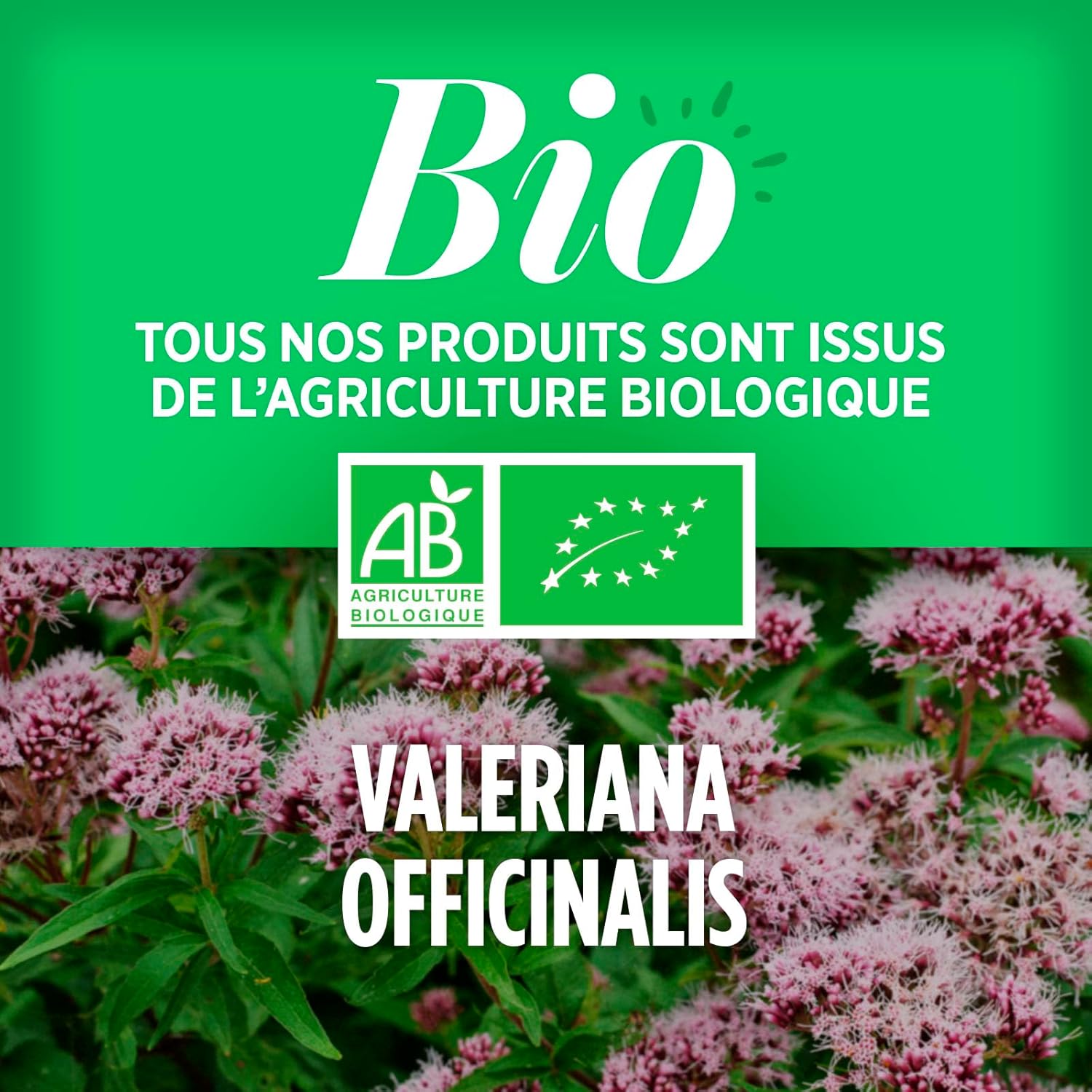 Valerian Bio Extract - Valeriana officinalis - 400 mg - 120 tablets - Image 5