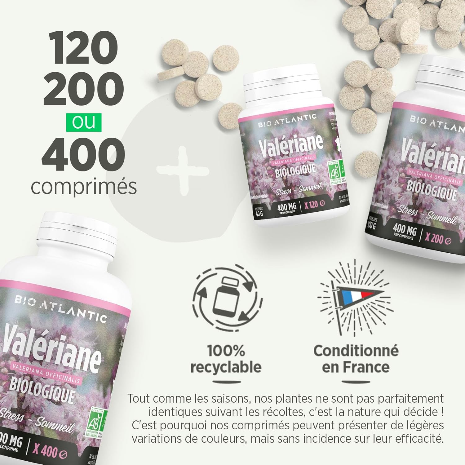 Valerian Bio Extract - Valeriana officinalis - 400 mg - 120 tablets - Image 6