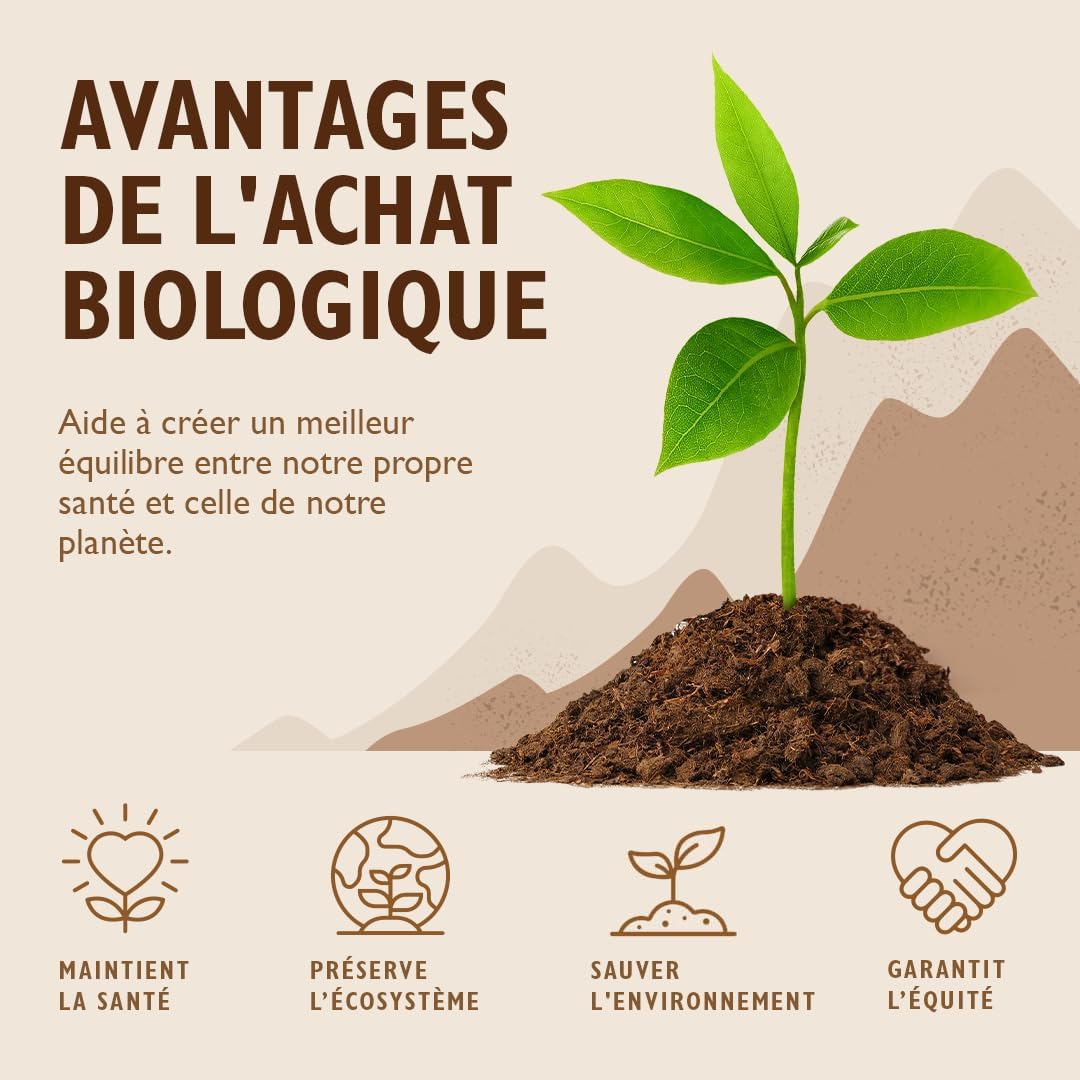 Organic Super Green Blend Capsules with Spirulina, Chlorella, Wheat Grass, Barley Grass | Supports Skin, Immunity | 180 x 500mg | Green Superfoods from Sevenhills Wholefoods - Image 6