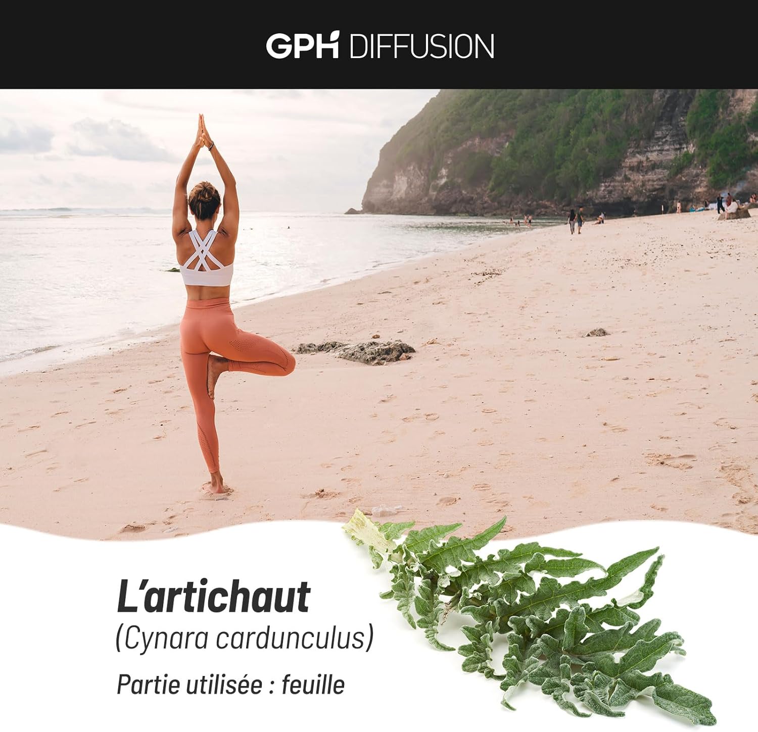 Organic Leaf Artichoke 200 mg - 100 Vegetable Capsules - Image 5