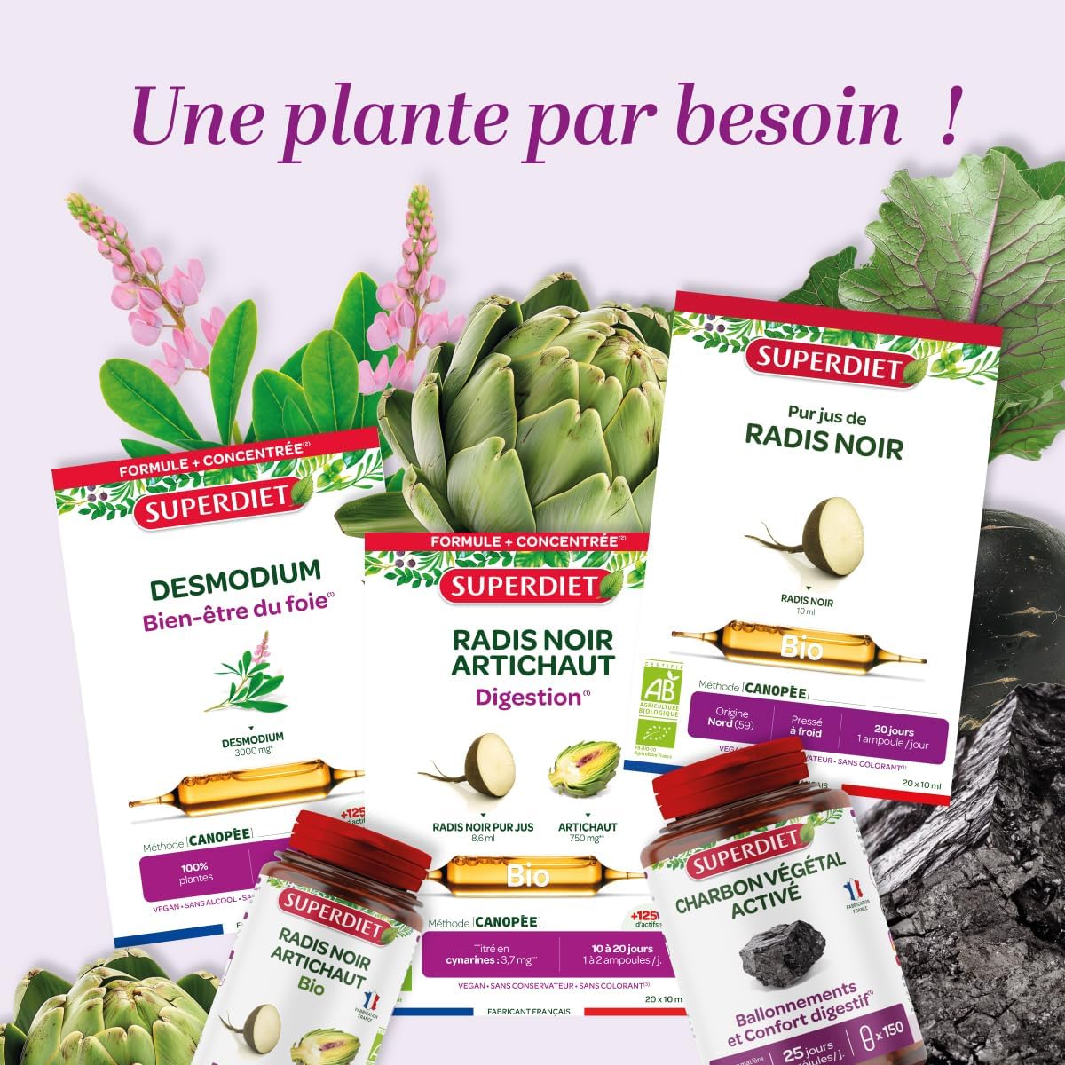 SUPERDIET – DESMODIUM - Liver well-being – Liver well-being, Hepathic drainer - Phytotherapy-Made in France - 20 ampoules 10 ml - Image 6