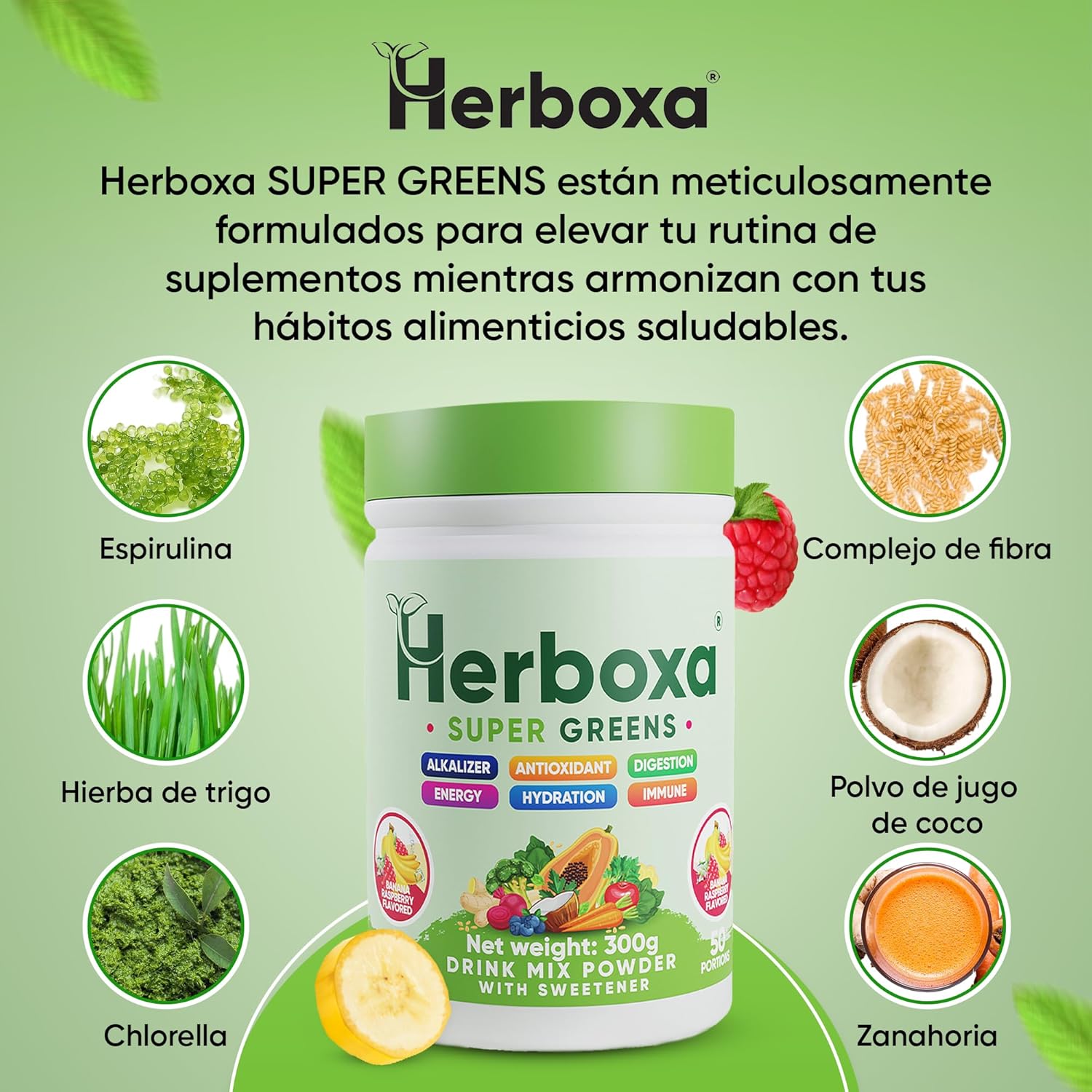 Herboxa SUPER GREENS 50 Servings Banana Raspberry Flavour Zinc Chrome Chicory Root Powder Supplement - Image 3