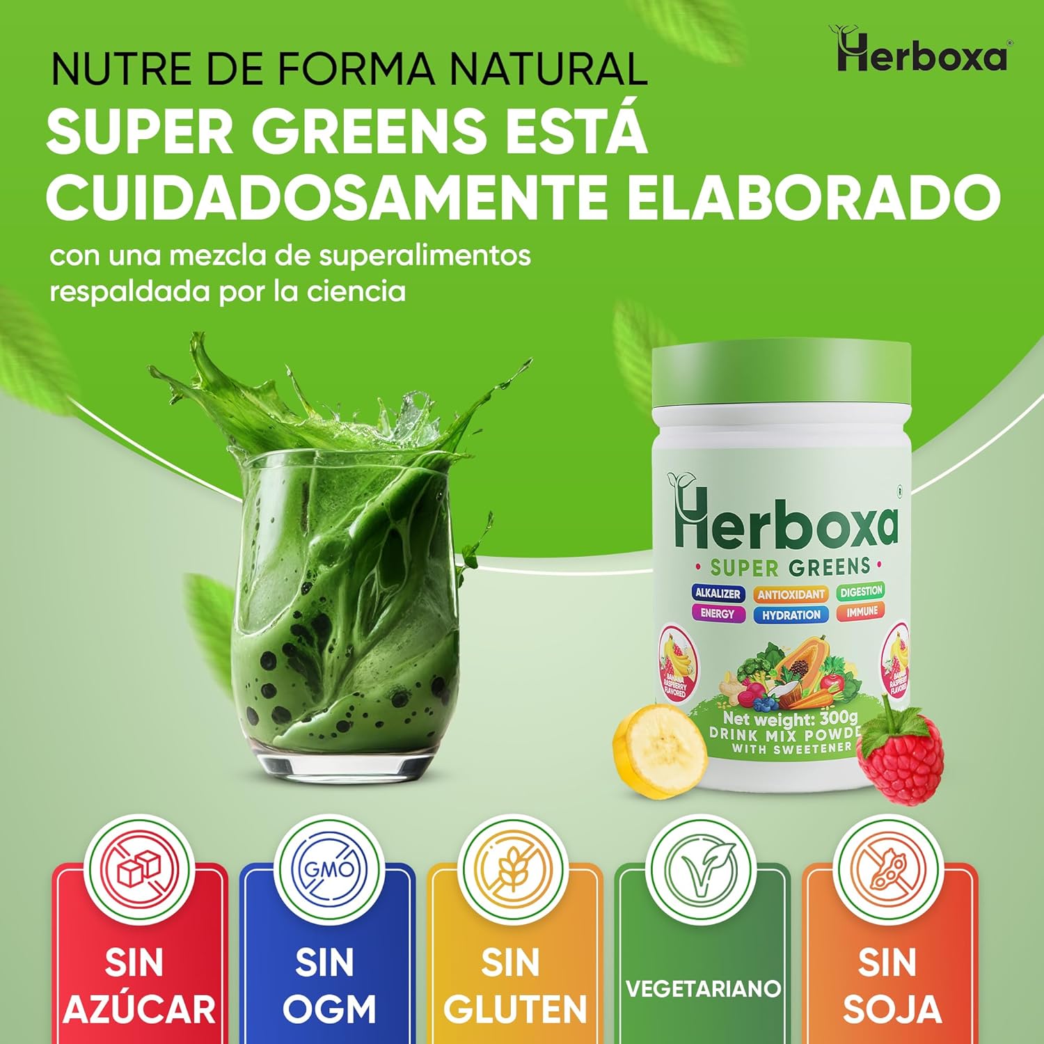 Herboxa SUPER GREENS 50 Servings Banana Raspberry Flavour Zinc Chrome Chicory Root Powder Supplement - Image 7