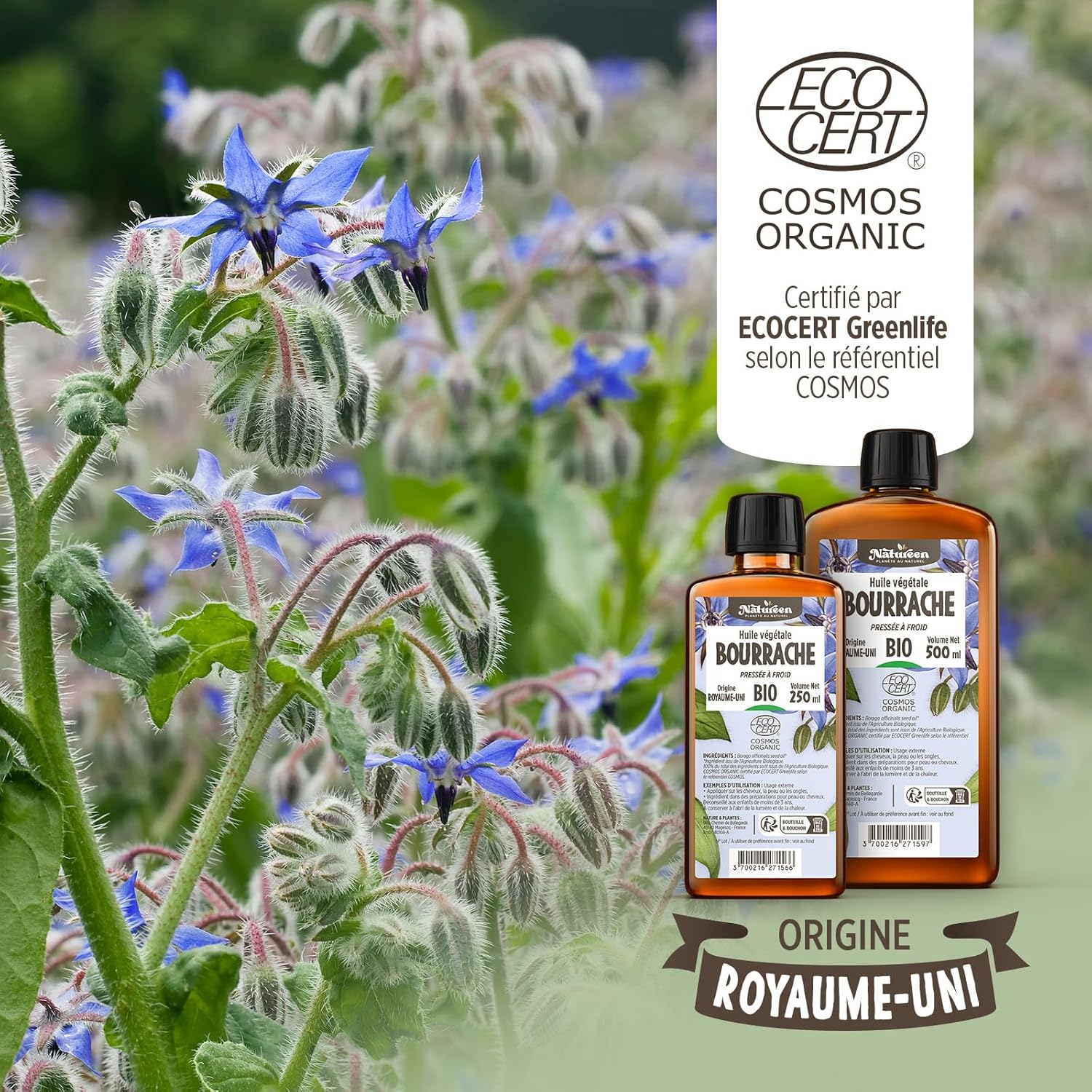 Organic Borage Oil 50 ml - Cosmos Organic - Natureen | Natural Planet - 100% Natural and Cold Pressed - Hair, Skin, Nails - Image 8