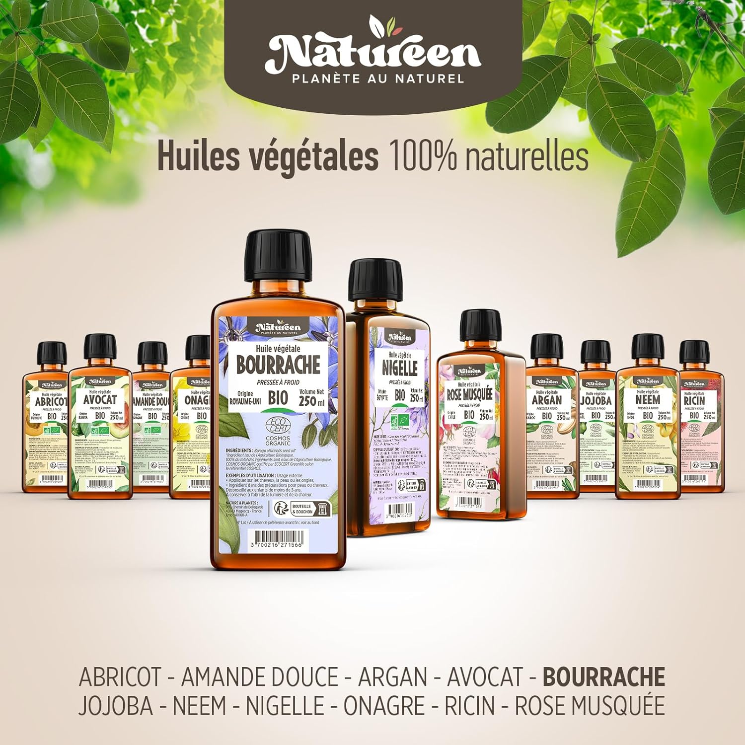 Organic Borage Oil 50 ml - Cosmos Organic - Natureen | Natural Planet - 100% Natural and Cold Pressed - Hair, Skin, Nails - Image 9