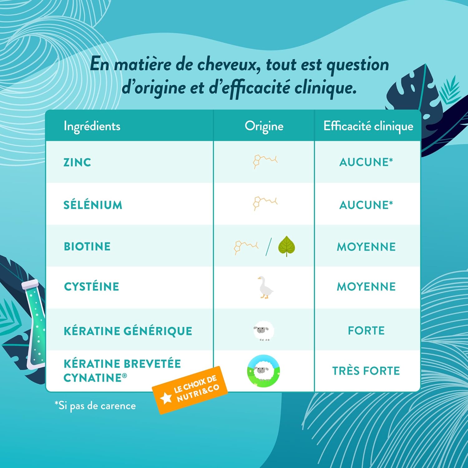 Nutri&Co Biotin + Patented Pure Keratin - Food Supplement for Hair Growth - Fast Growth - Anti Loss - Vitamin B8 - Skin and Nails - 60 Vegan Capsules Made in France - Image 5