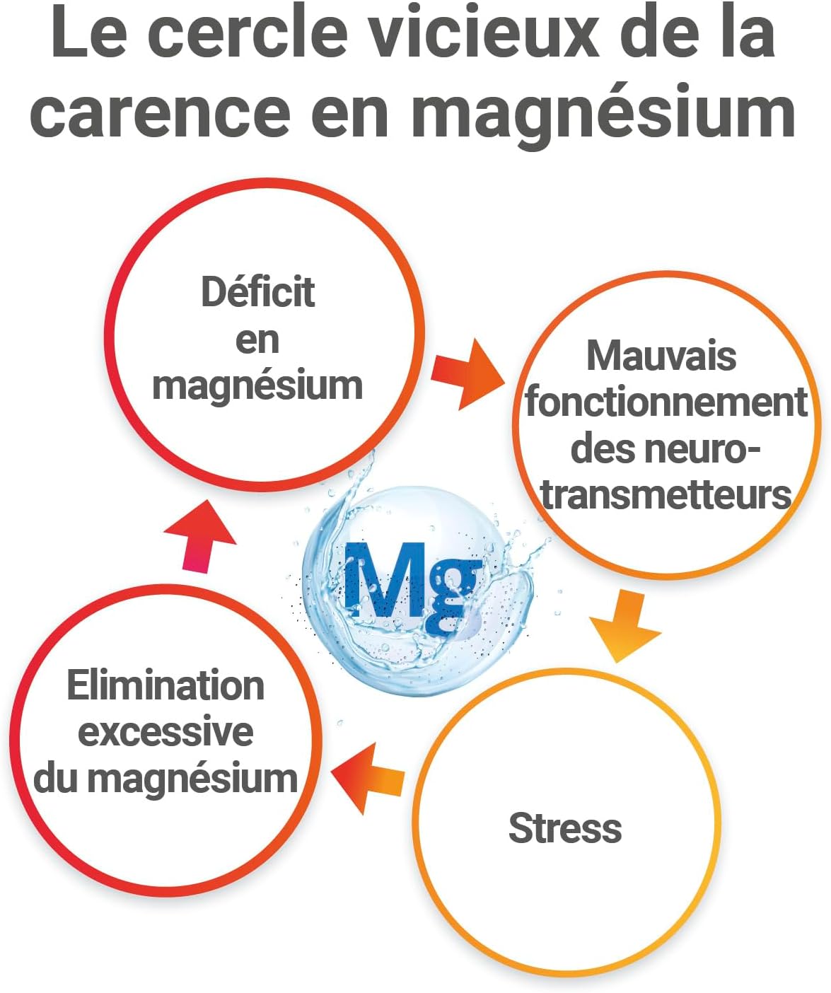MAG 2 - Sleep-Dietary supplement - Marine magnesium 300mg, melatonin 1.9mg and plant extracts-Fast sleeping, calming and relaxing effect-Programme of 15 to 30 days - 30 tablets - Image 4
