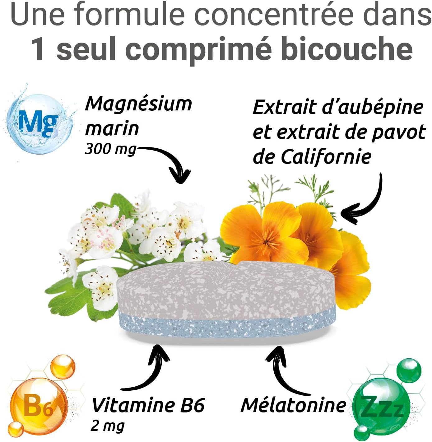 MAG 2 - Sleep-Dietary supplement - Marine magnesium 300mg, melatonin 1.9mg and plant extracts-Fast sleeping, calming and relaxing effect-Programme of 15 to 30 days - 30 tablets - Image 7