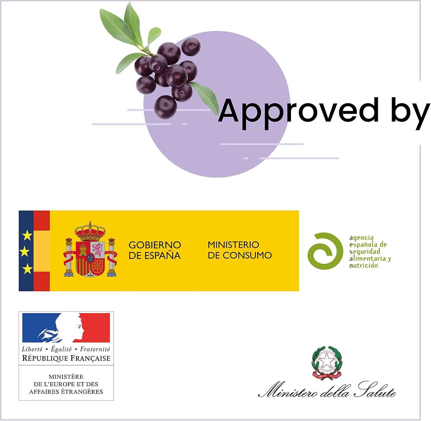 SanaExpert Acai Berry - Natural Food Supplement with Pure Acai Extract - Rich in Antioxidants - Vegan Friendly, Gluten Free, Lactose Free - 120 Capsules - Made in Germany - Image 10