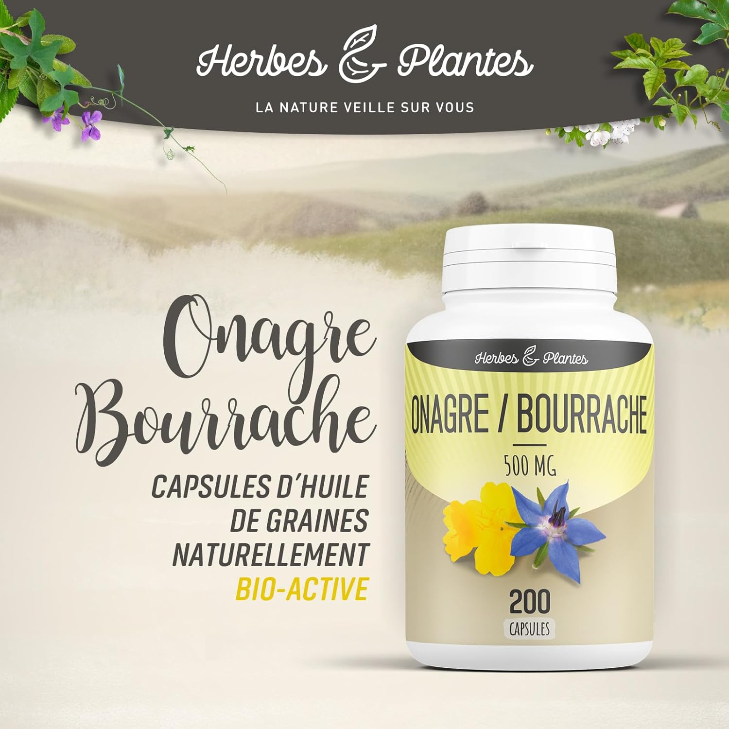 Herbes Et Plantes Evening Primrose, Borage 200 Capsules 500 mg - Packaging May Vary - Image 4