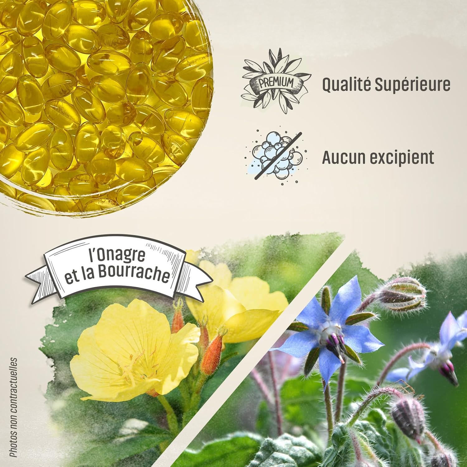 Herbes Et Plantes Evening Primrose, Borage 200 Capsules 500 mg - Packaging May Vary - Image 5