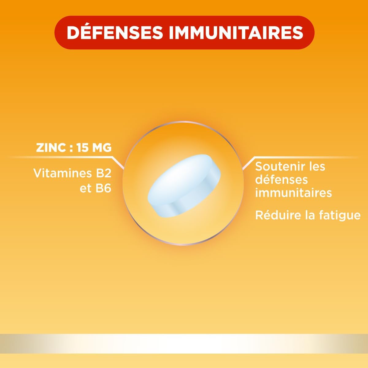 Forté Pharma Zinc 15+ | Zinc Bisglycinate 15 mg + Vitamins B2 & B6 - Anti Fatigue - Immune Defenses Dietary Supplement Maximum Dosage | 60 tablets, 1/day, 2 months - Image 3