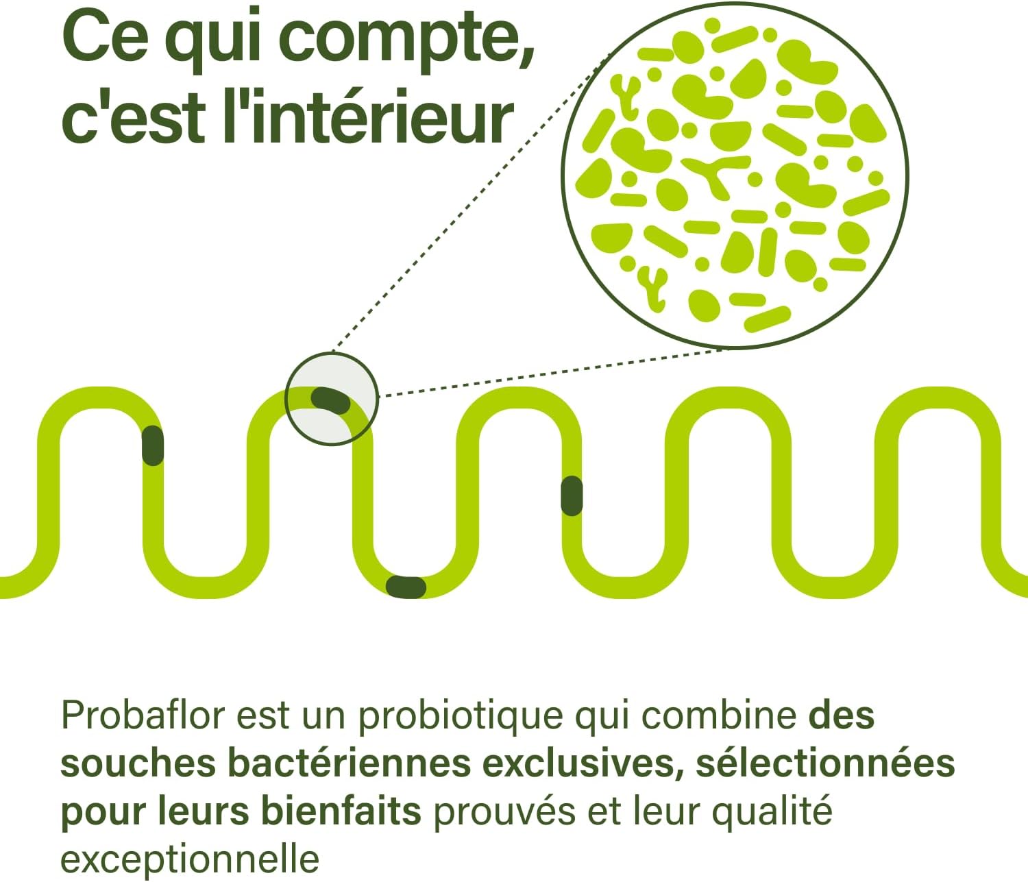 Nupure® Probiotic Probaflor 90 capsules, 20 billion CFU, 11 special patented bacterial strains, with Prebiotic Inulin per intestinal flora, better protected thanks to a special container. - Image 6