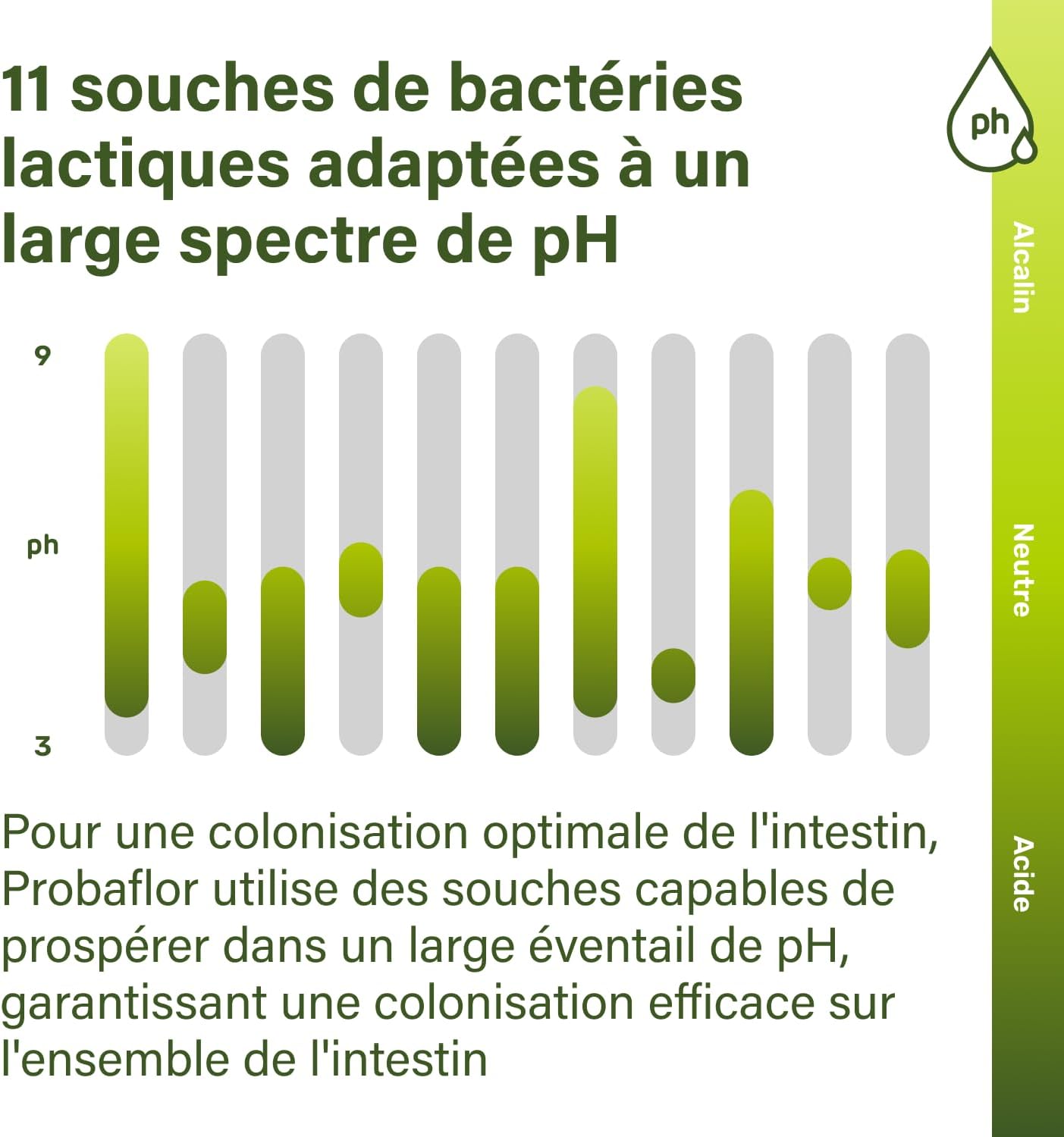 Nupure® Probiotic Probaflor 90 capsules, 20 billion CFU, 11 special patented bacterial strains, with Prebiotic Inulin per intestinal flora, better protected thanks to a special container. - Image 7