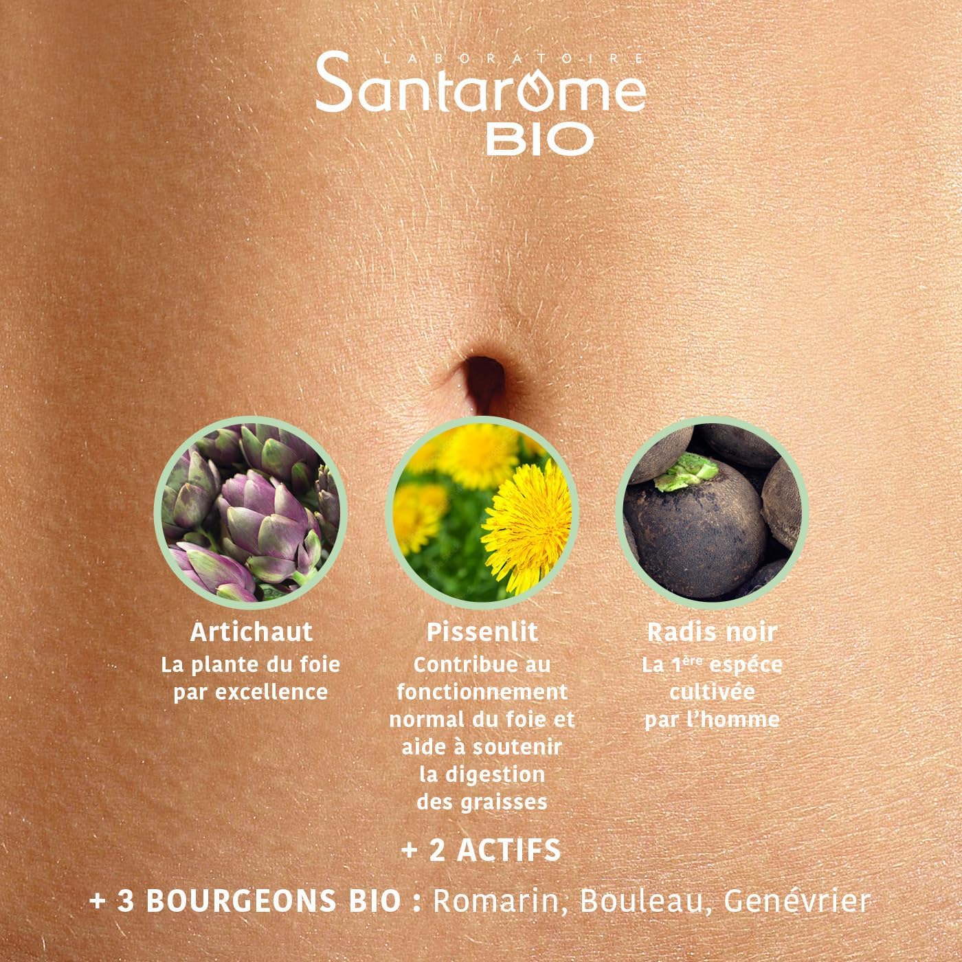 Santarome Bio - Liver Wellness | Digestion Food Supplement | Draining & Antioxidant - Organic Plants - Artichoke, Black Radish, Dandelion - Hepatonic | 30 Ampoules | Made In France - Image 6