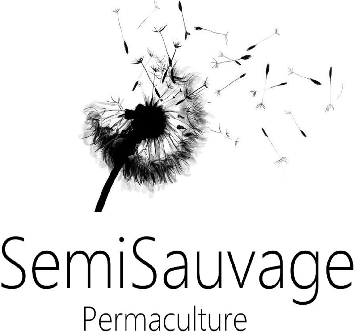 SemiSauvage 100 Goji Seeds - Perennial Plant - Vegetable Fruit Vegetable - Reproducible Peasant Seeds - Image 4