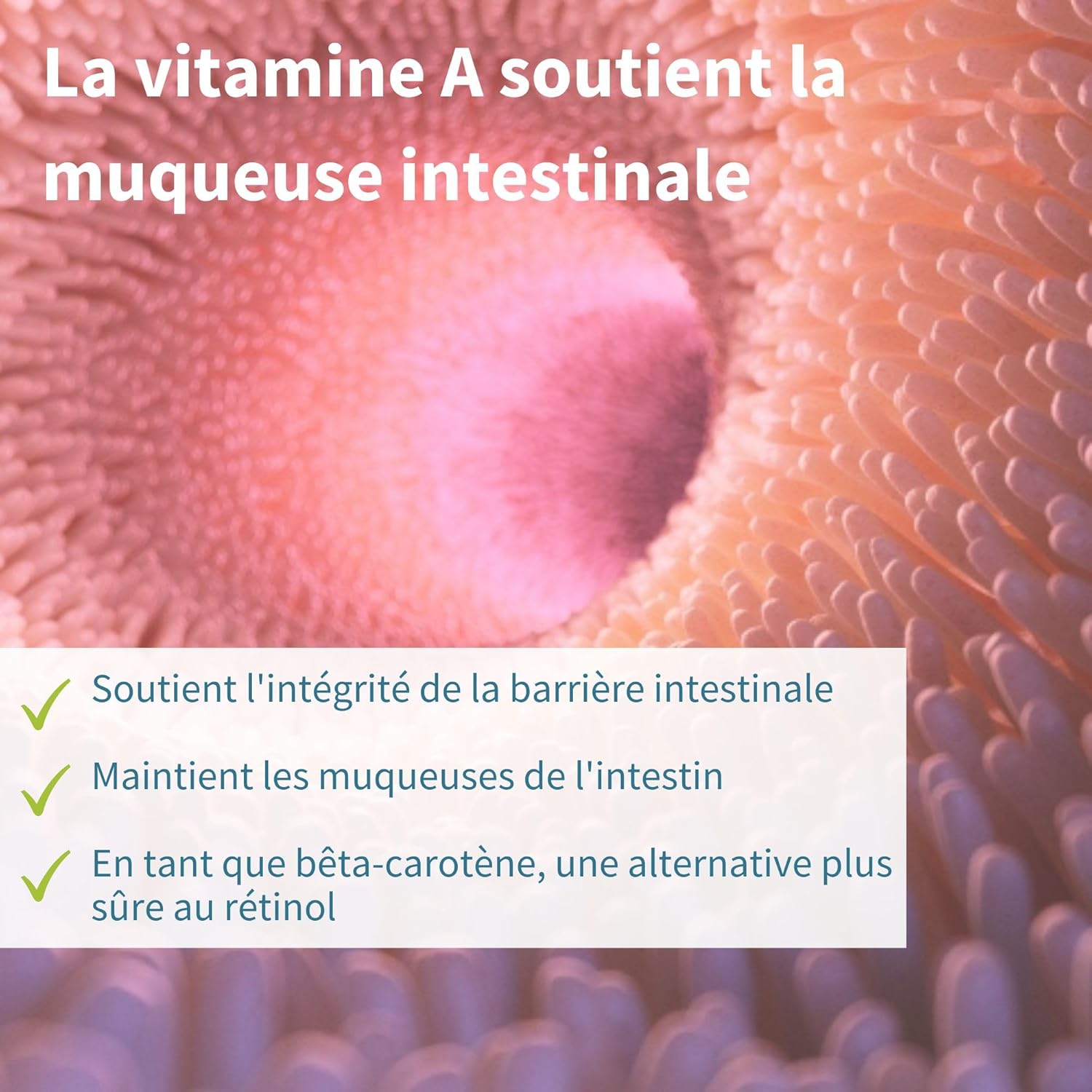 Probiotics & Prebiotics, Lab4 Intestinal Flora Complex, with Lactobacillus Acidophilus & Bifidobacterium, 25 Billion CFU, Vegan, 30 Capsules - by Igennus - Image 8