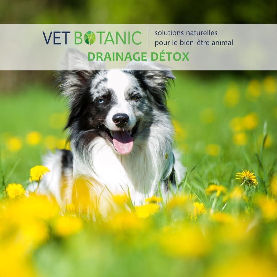 Liver Supplement Dogs and Cats, Protection and Liver Drainage, 100 g, 22 Days - Image 5