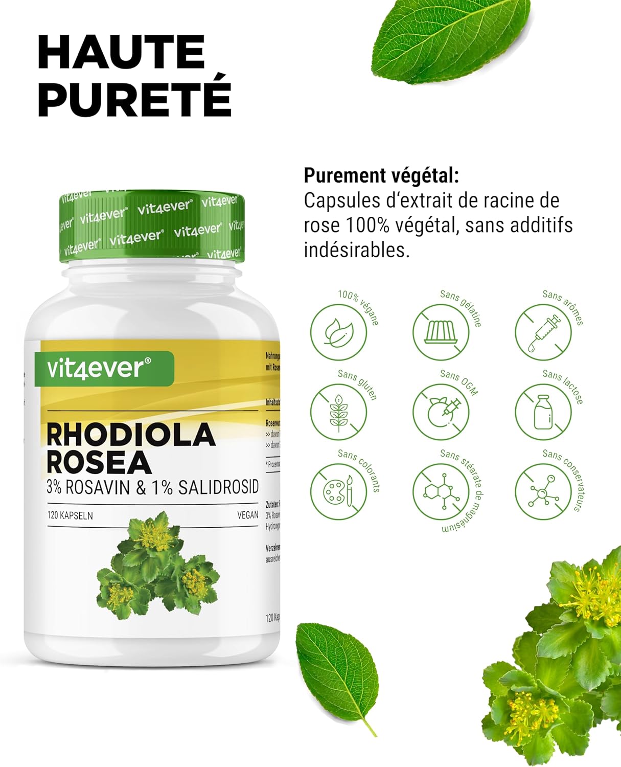 Rhodiola Rosea Extract - 120 capsules of 500 mg - Premium raw material - 3% Rosavine & 1% Salidroside - Rosehip Root Extract - Vegan - High dosed. - Image 4