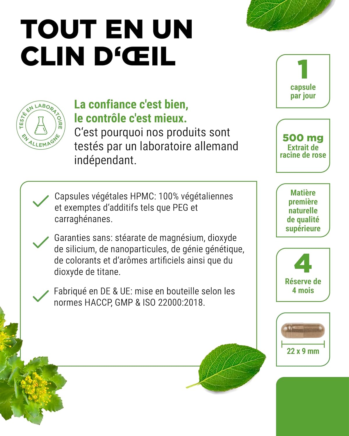 Rhodiola Rosea Extract - 120 capsules of 500 mg - Premium raw material - 3% Rosavine & 1% Salidroside - Rosehip Root Extract - Vegan - High dosed. - Image 5