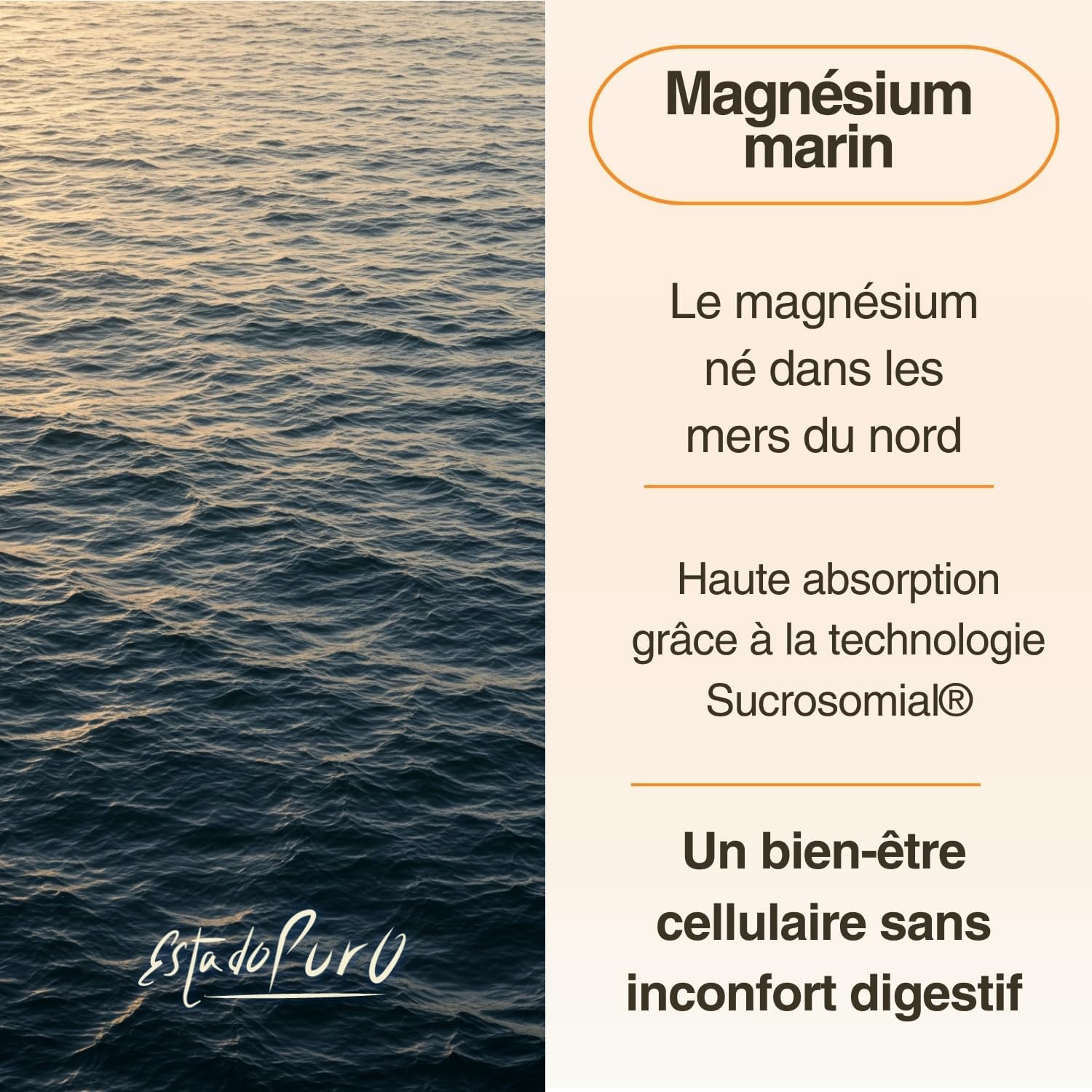 Magnesium B6 Pure Essence | Magnesium Bisglycinate + Marine Magnesium | Sleep, Stress, Fatigue - Maximum Absorption & Easy Assimilation | 60 Capsules 1 Month | Api-Nature - Image 7