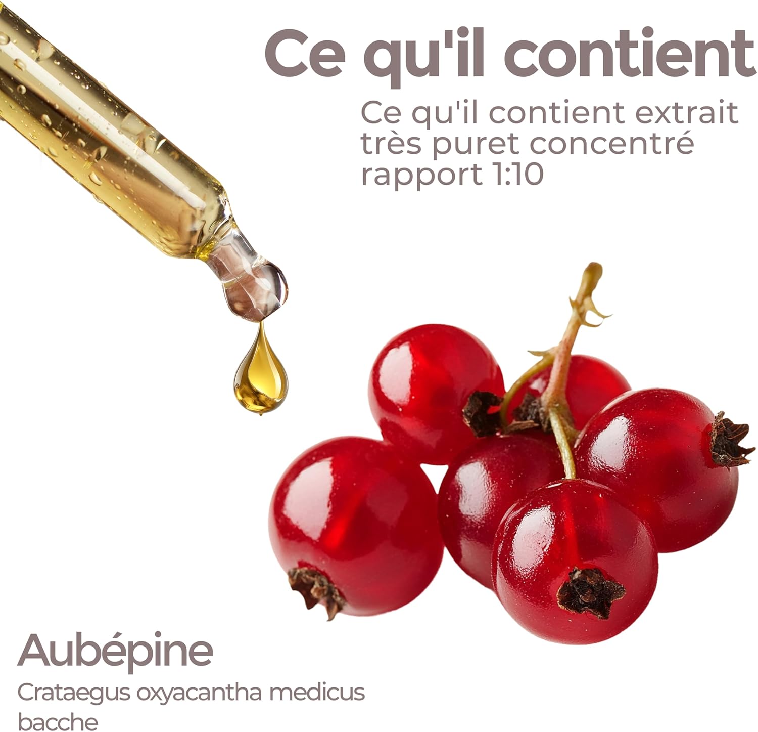 Hawthorn 100 ml Glyceric Macerate | Hawthorn Drops | Regularity of Cardiovascular Function and Antioxidant | Promotes Relaxation | J.Armor Pharma Vegetable Glycerine Macerate - Image 4