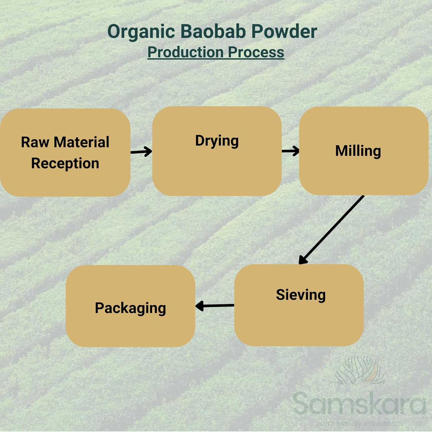 Organic Organic Baobab Powder | 100% Pure Raw A+ Quality, Source of Vit C, Calcium, Natural Collagen | SAMSKARA | Organic Baobab Powder (250g x 1) - LOT 2024 Freshness Guaranteed - Image 7