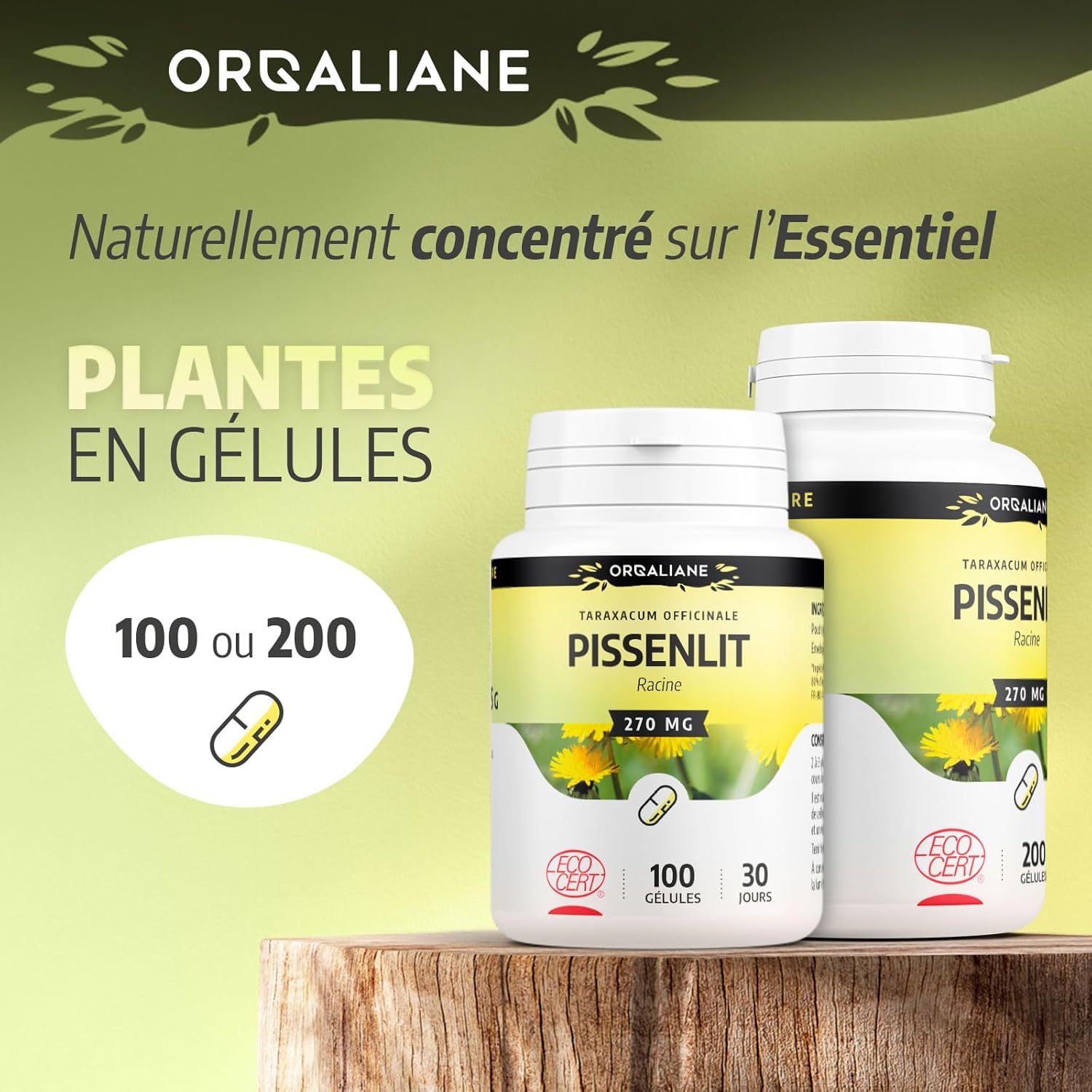 Organic Dandelion 270 mg - 100 Capsules - Ecocert Certified - Orgaliane - Image 5